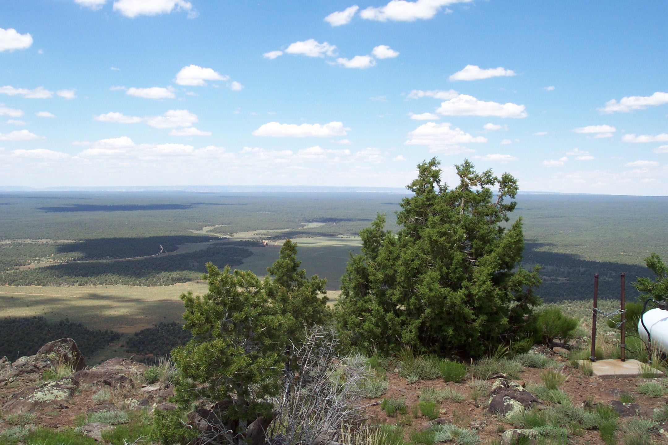 Kaibab