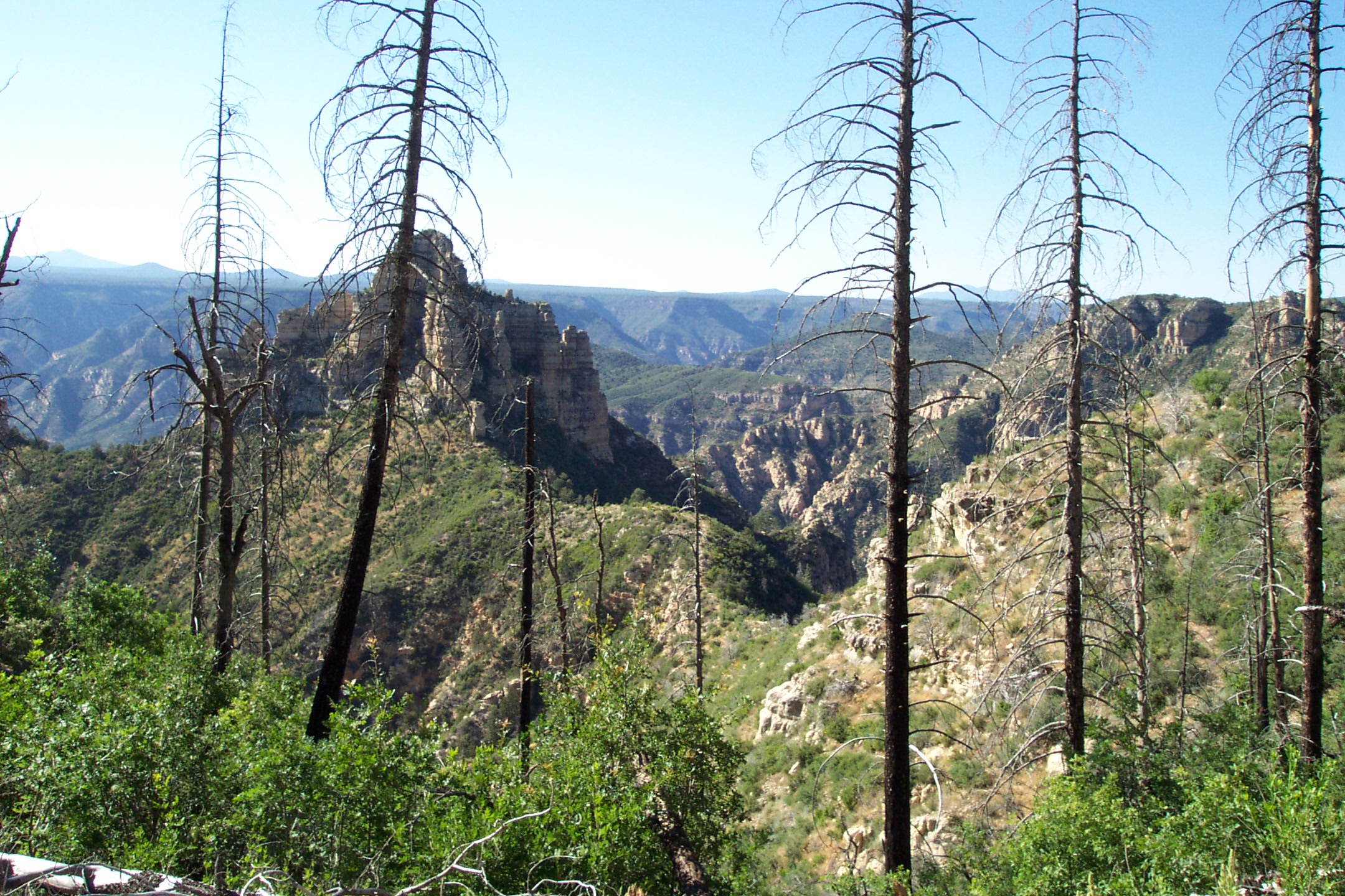Sedona, FR538B