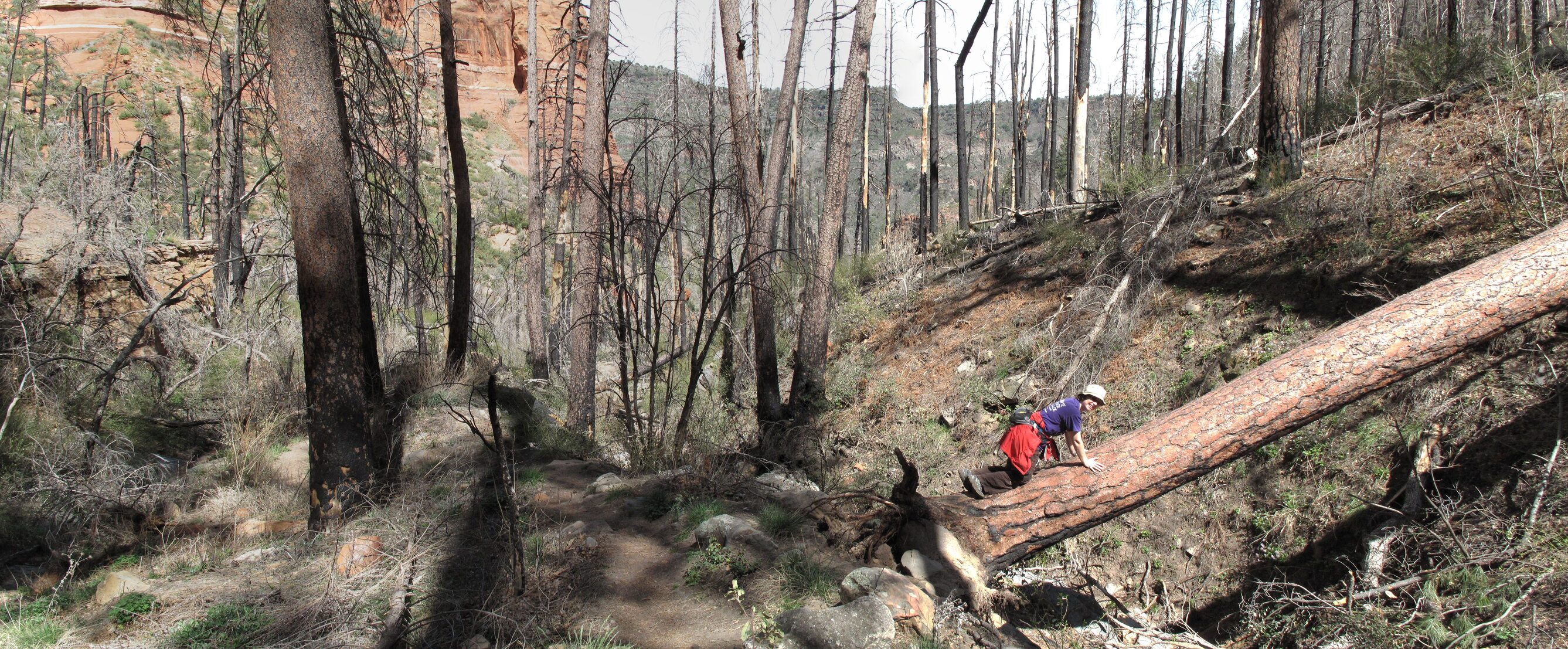 Hiking up the Wilson trail, Oak Creek