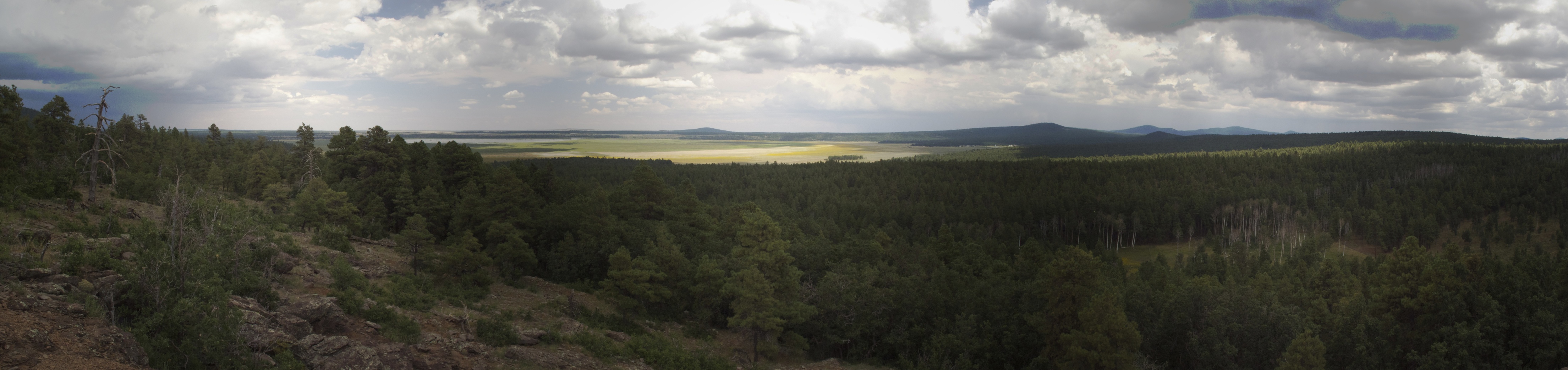 Mormon lake trail, south of Flagstaff