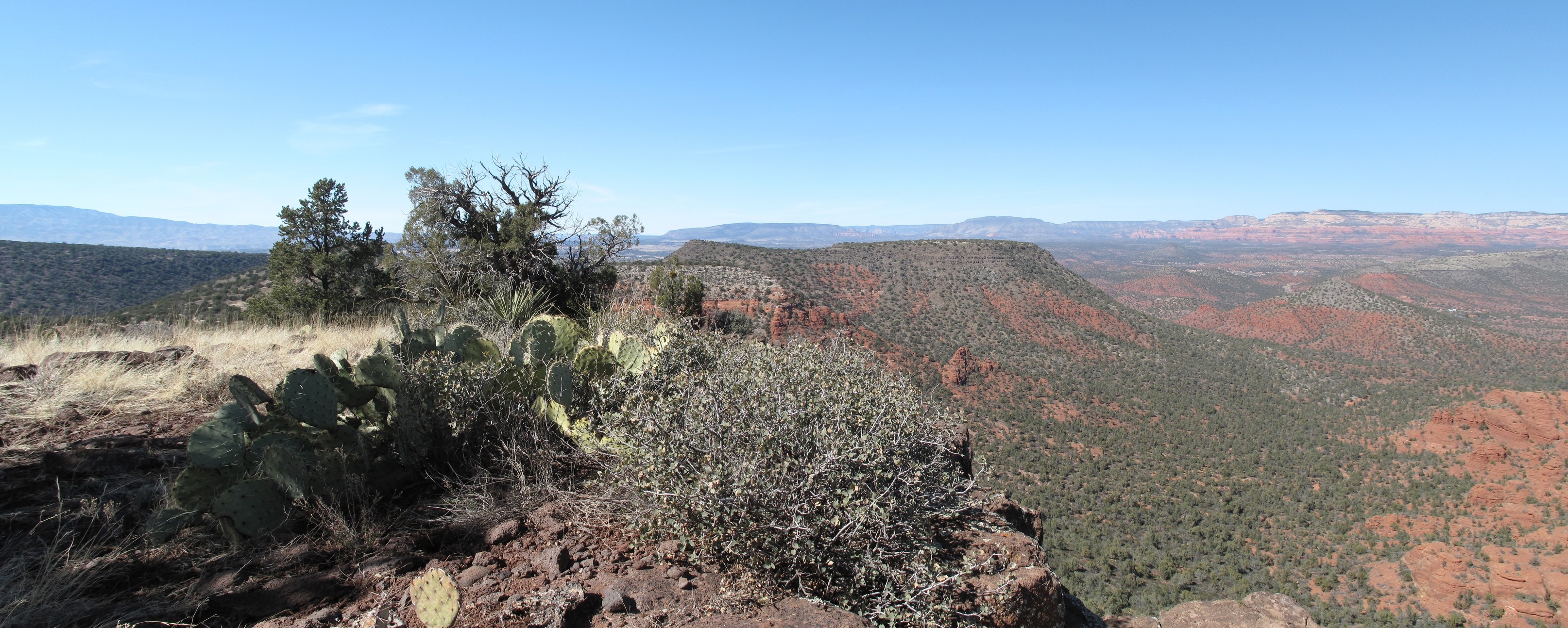 Sedona, Turkey Creek