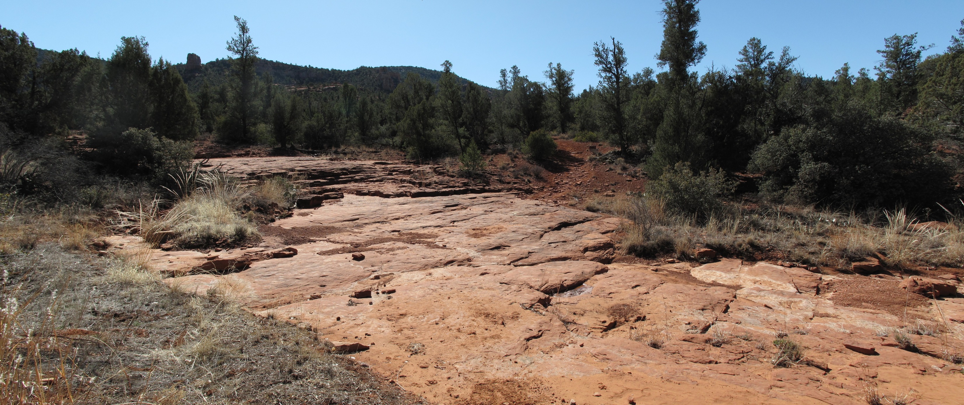 Sedona, Turkey Creek