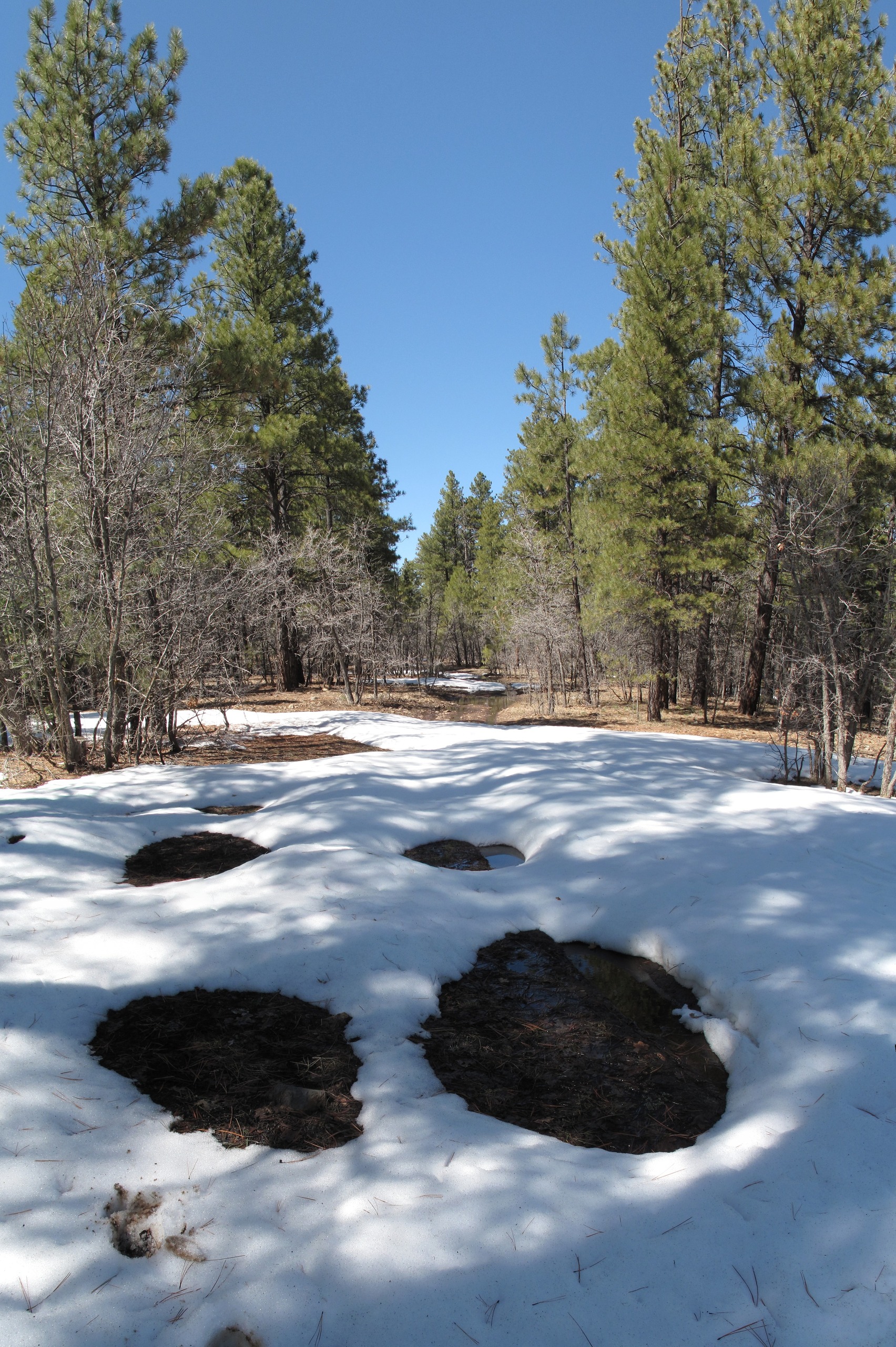 Mormon Lake, Flagstaff
