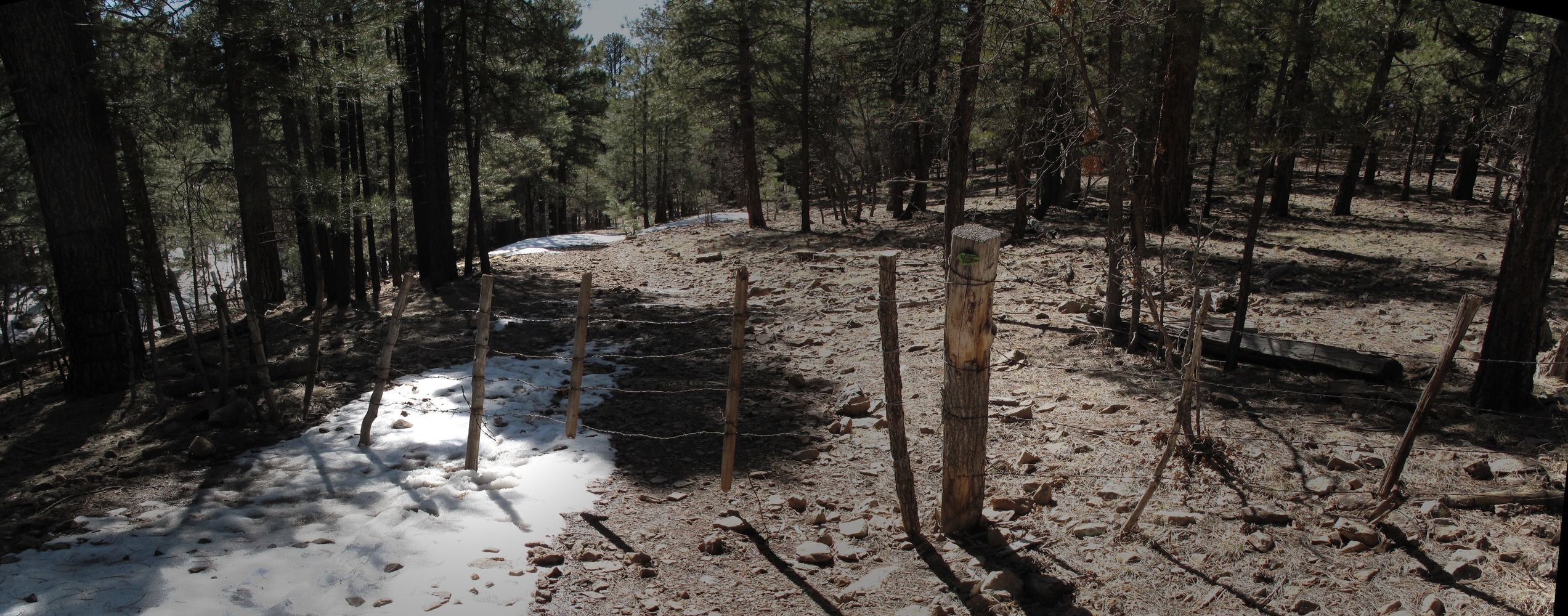 Mormon Lake, Flagstaff