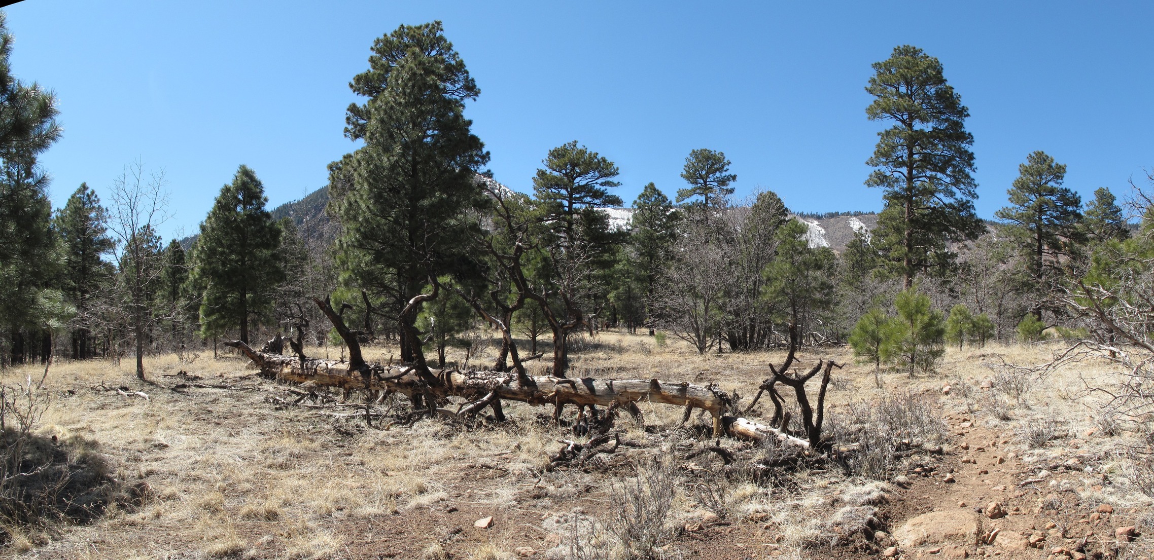 Flagstaff, Peaks