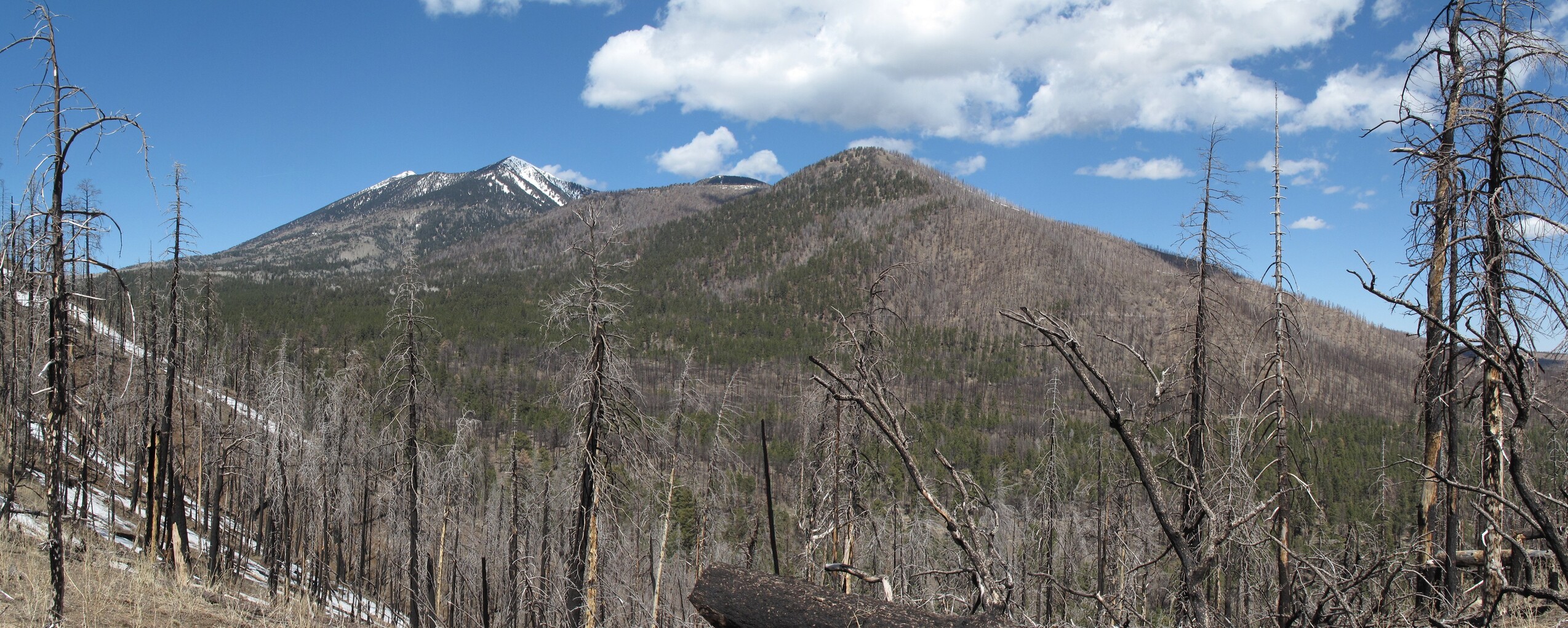 Little Bear Trail