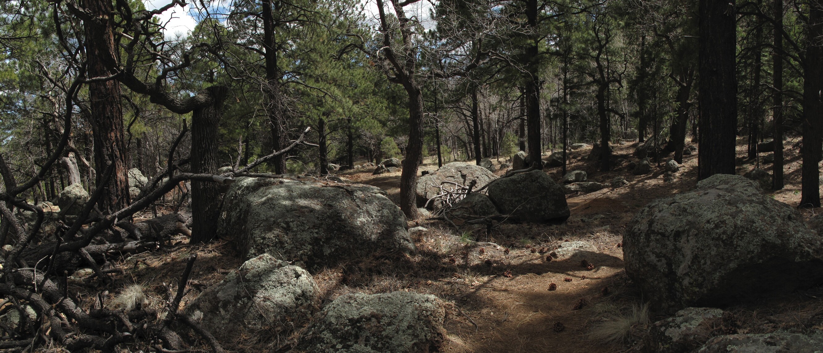 Peaks, Little Bear
