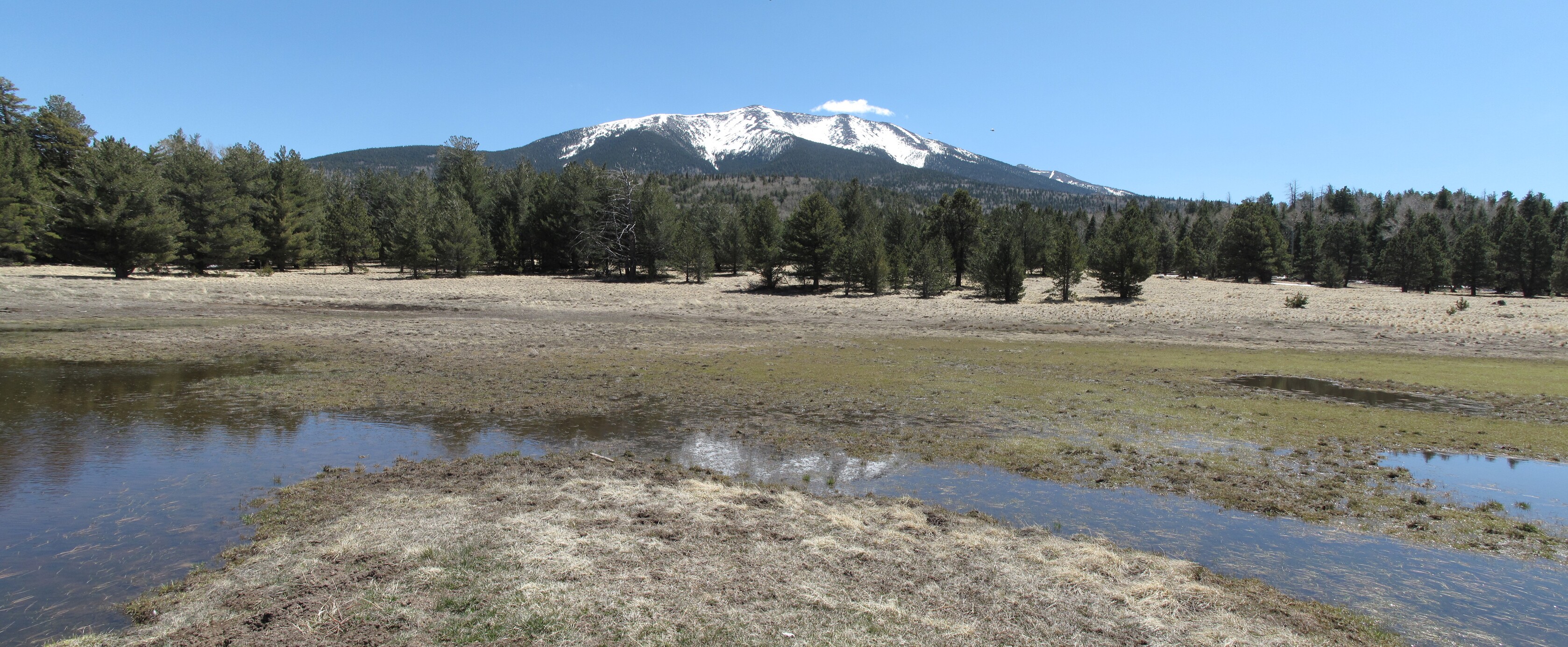 San Francisco Peaks