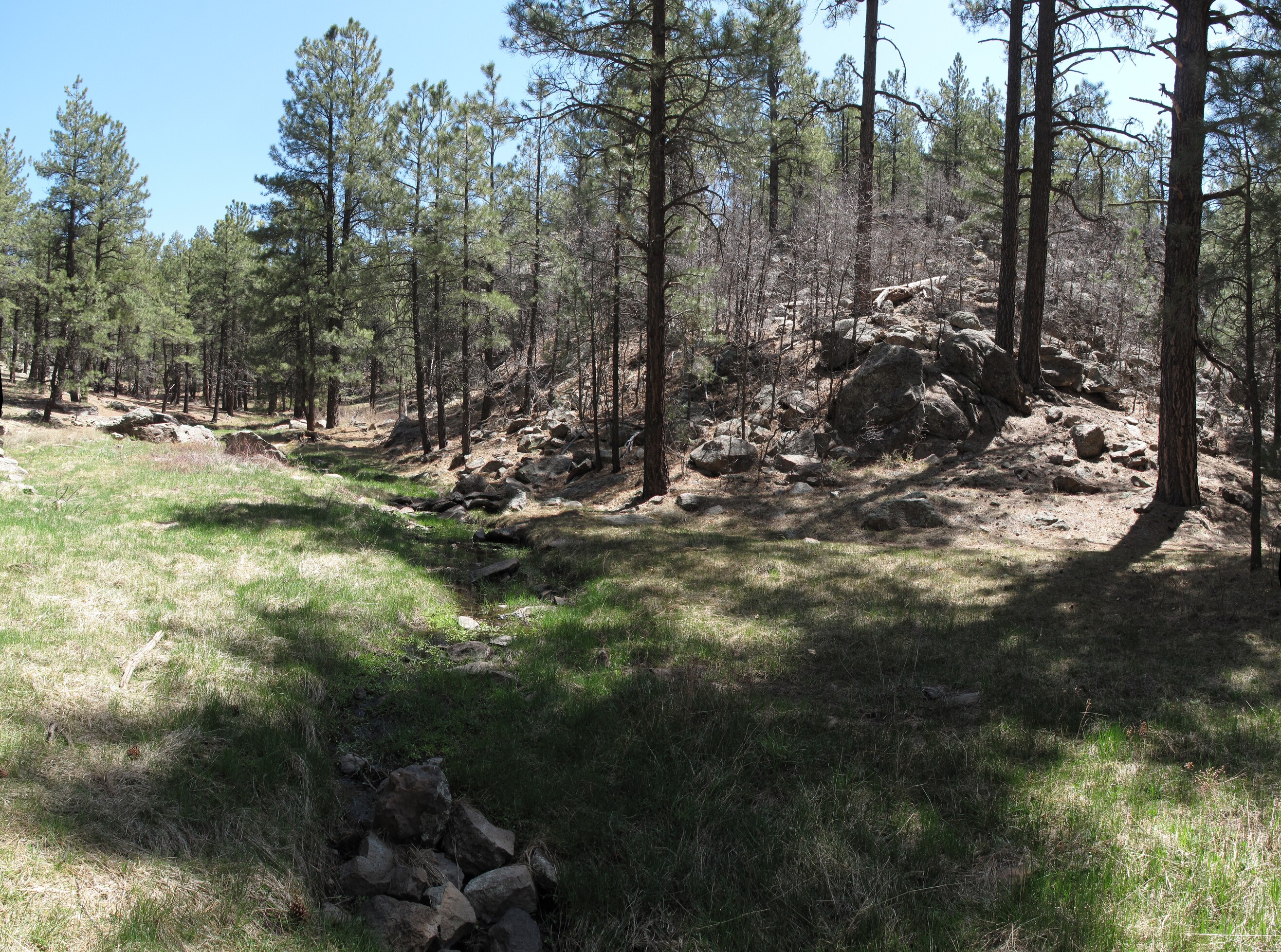 Flagstaff