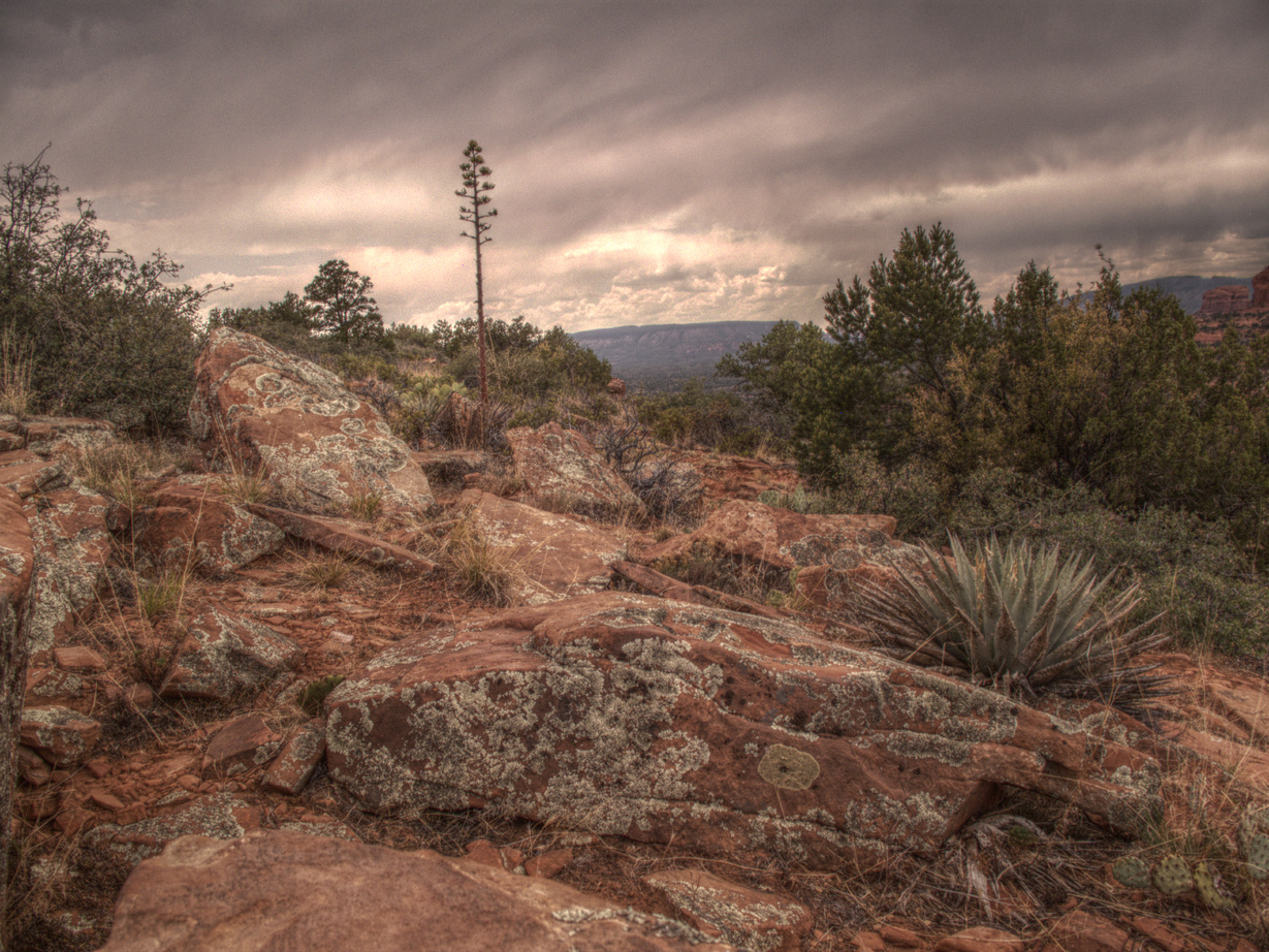 Sedona, Doe
