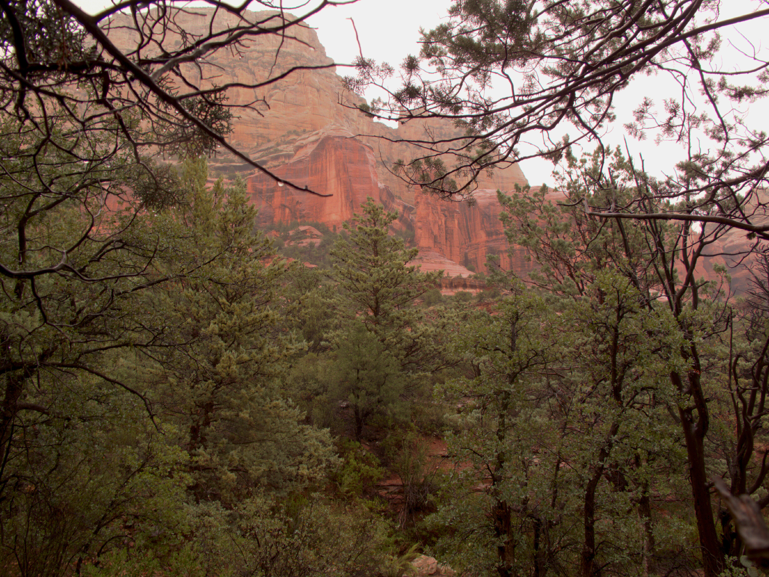 Sedona, Long Canyon