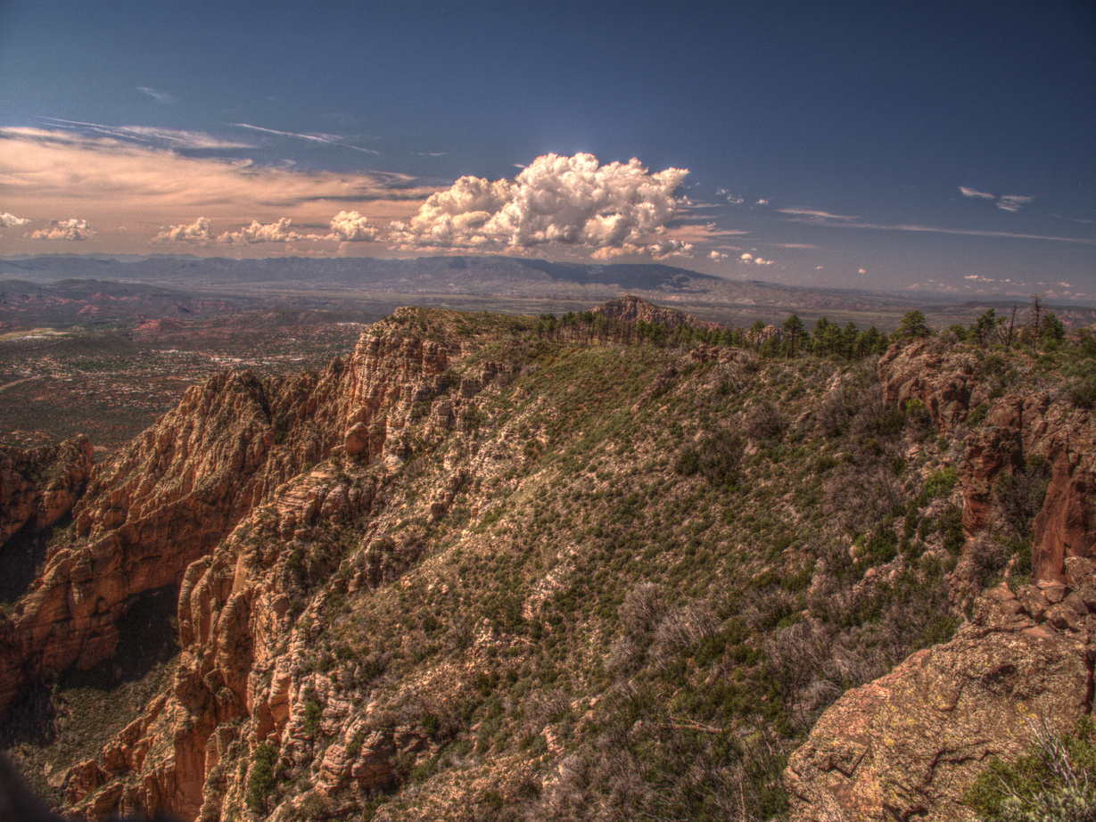 Sedona, Wilson