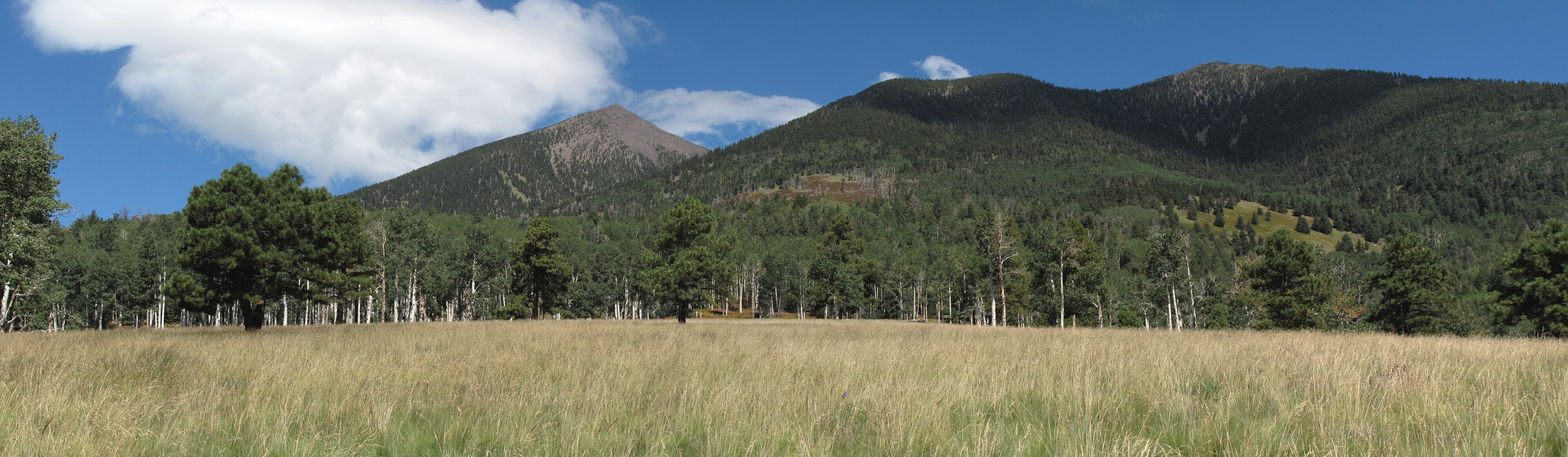 Kachina Trail