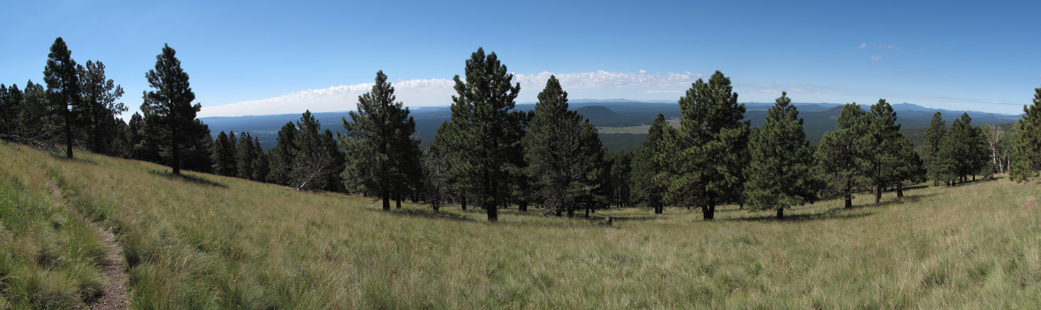 Flagstaff, Kachina