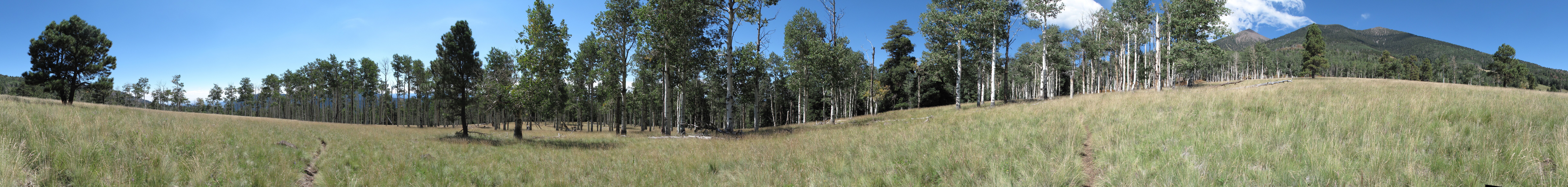 Flagstaff, Kachina