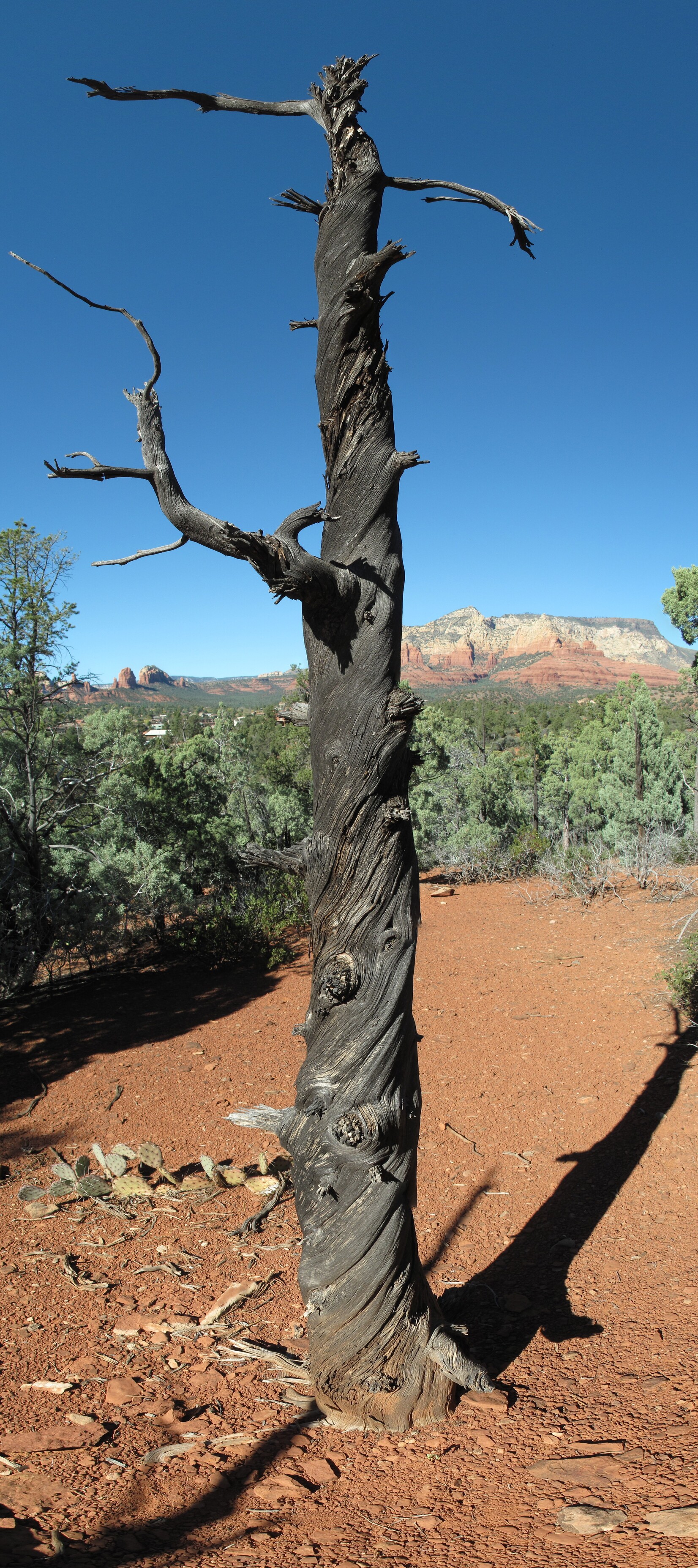 Sedona