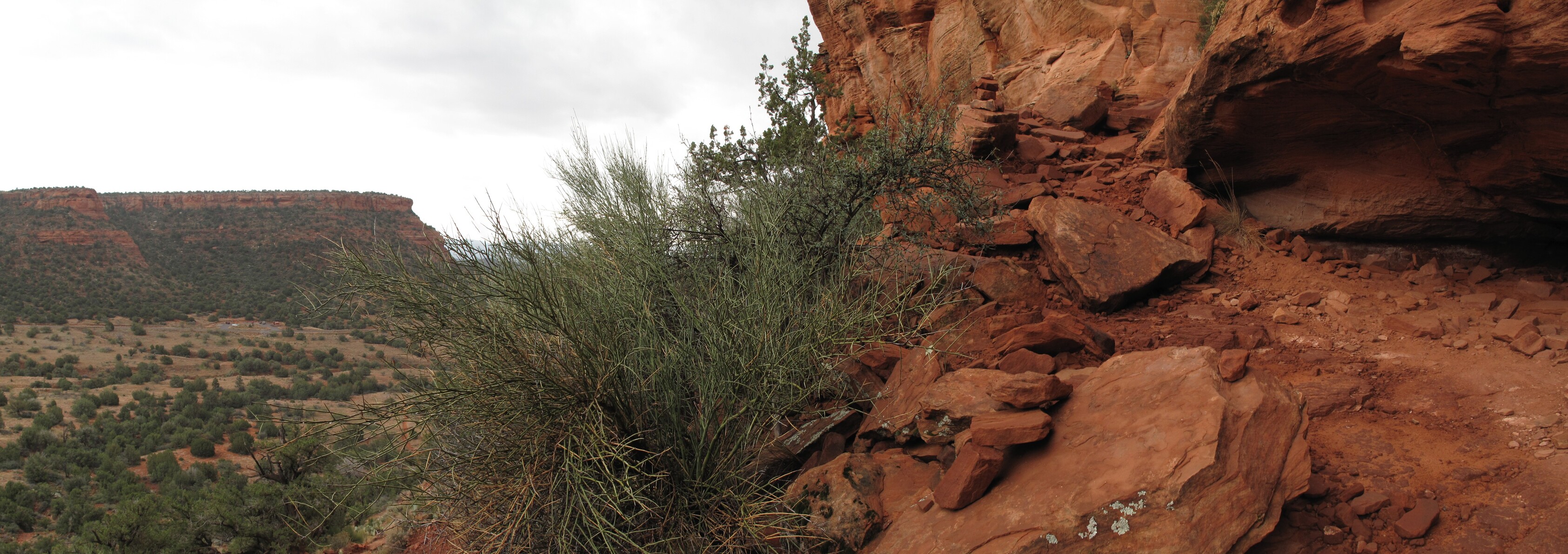 Sedona, Bear Mountain