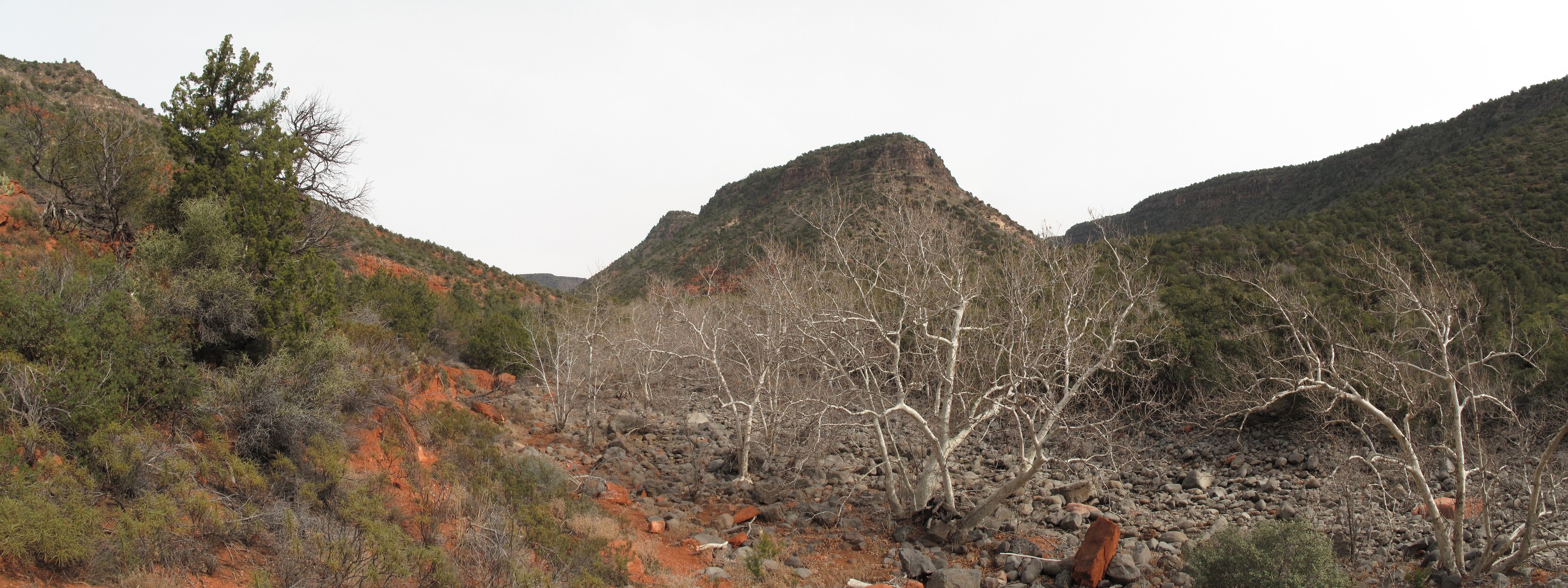 Woods Canyon, Sedona
