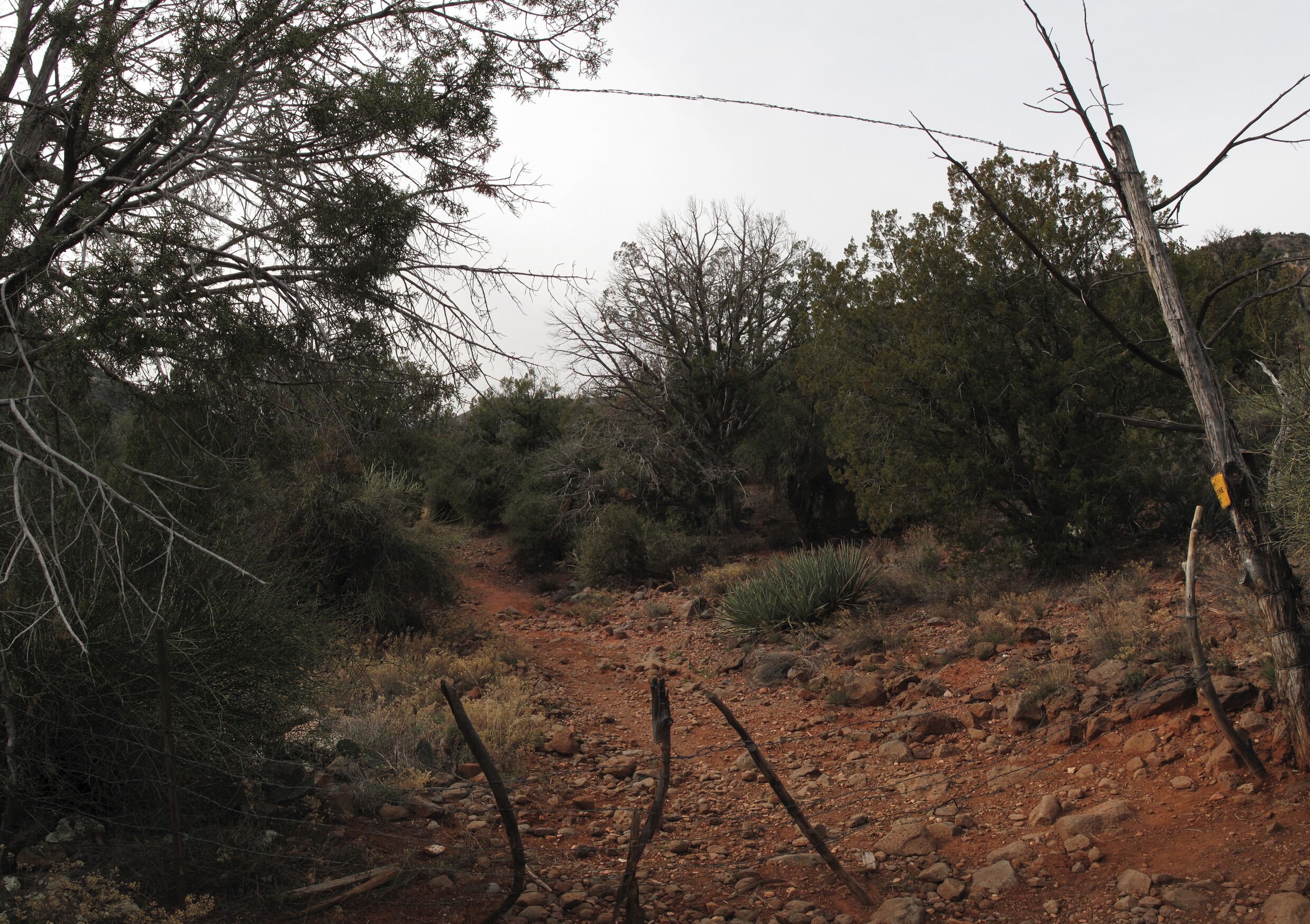 Woods Canyon, Sedona