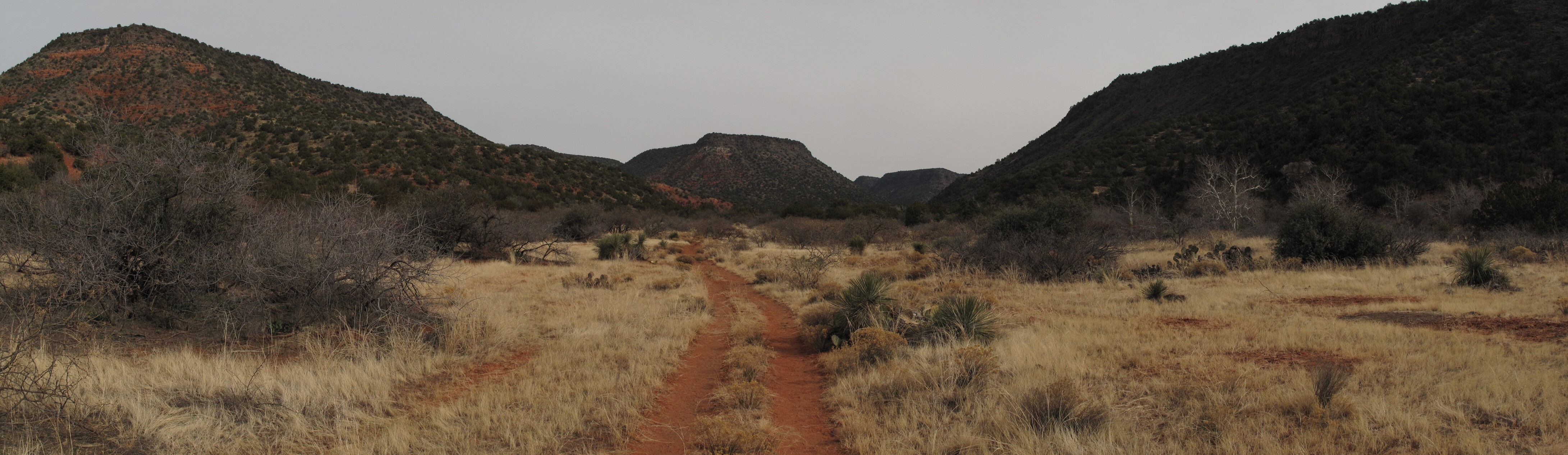Woods Canyon, Sedona