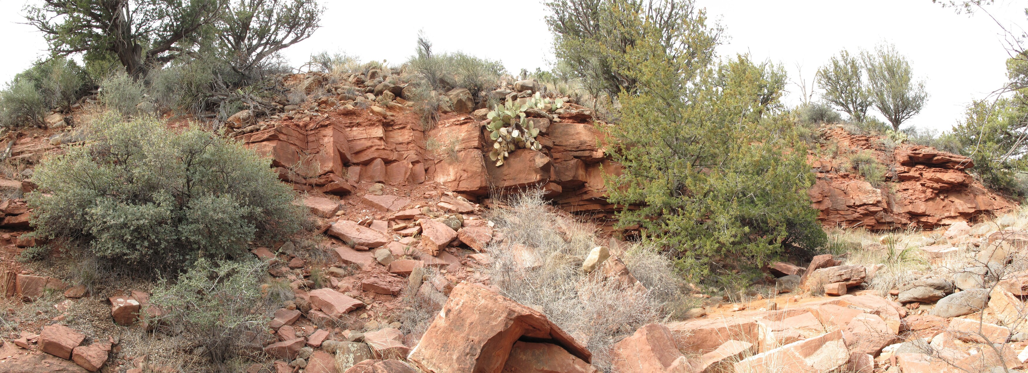 Woods Canyon, Sedona