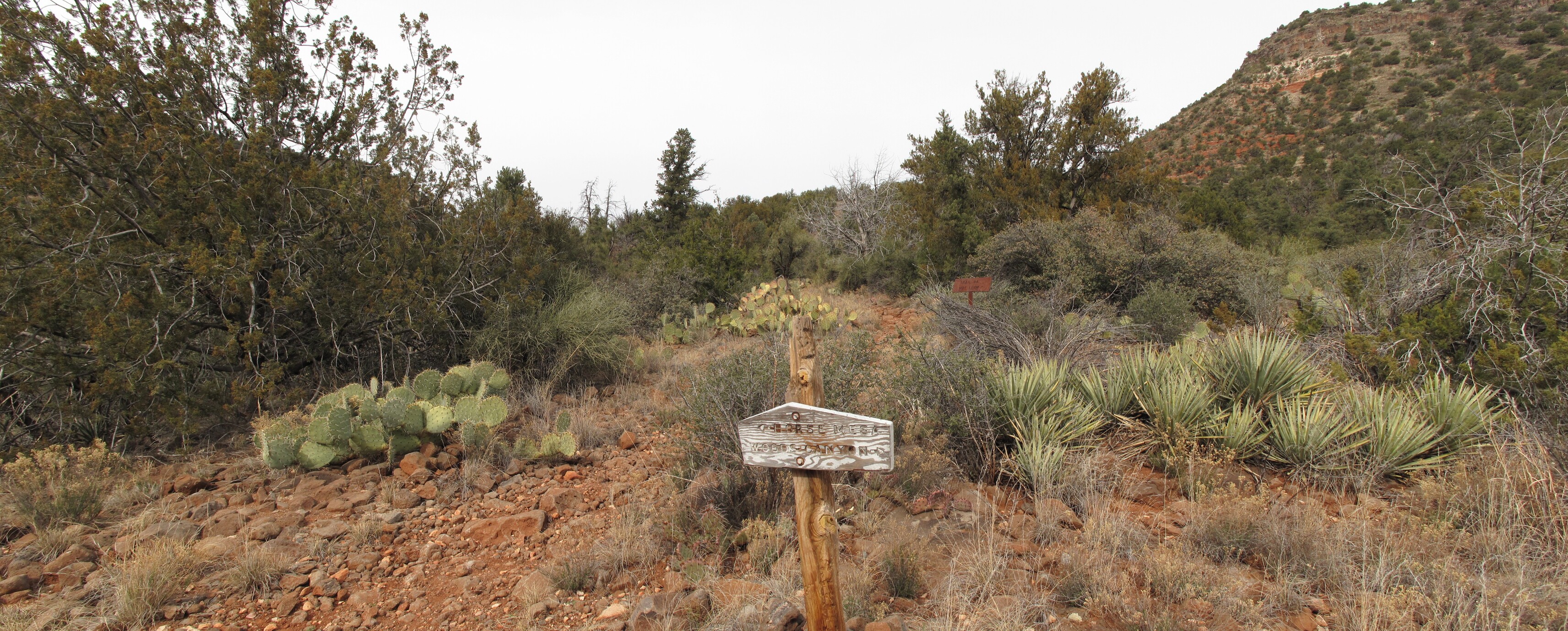 Woods Canyon, Sedona