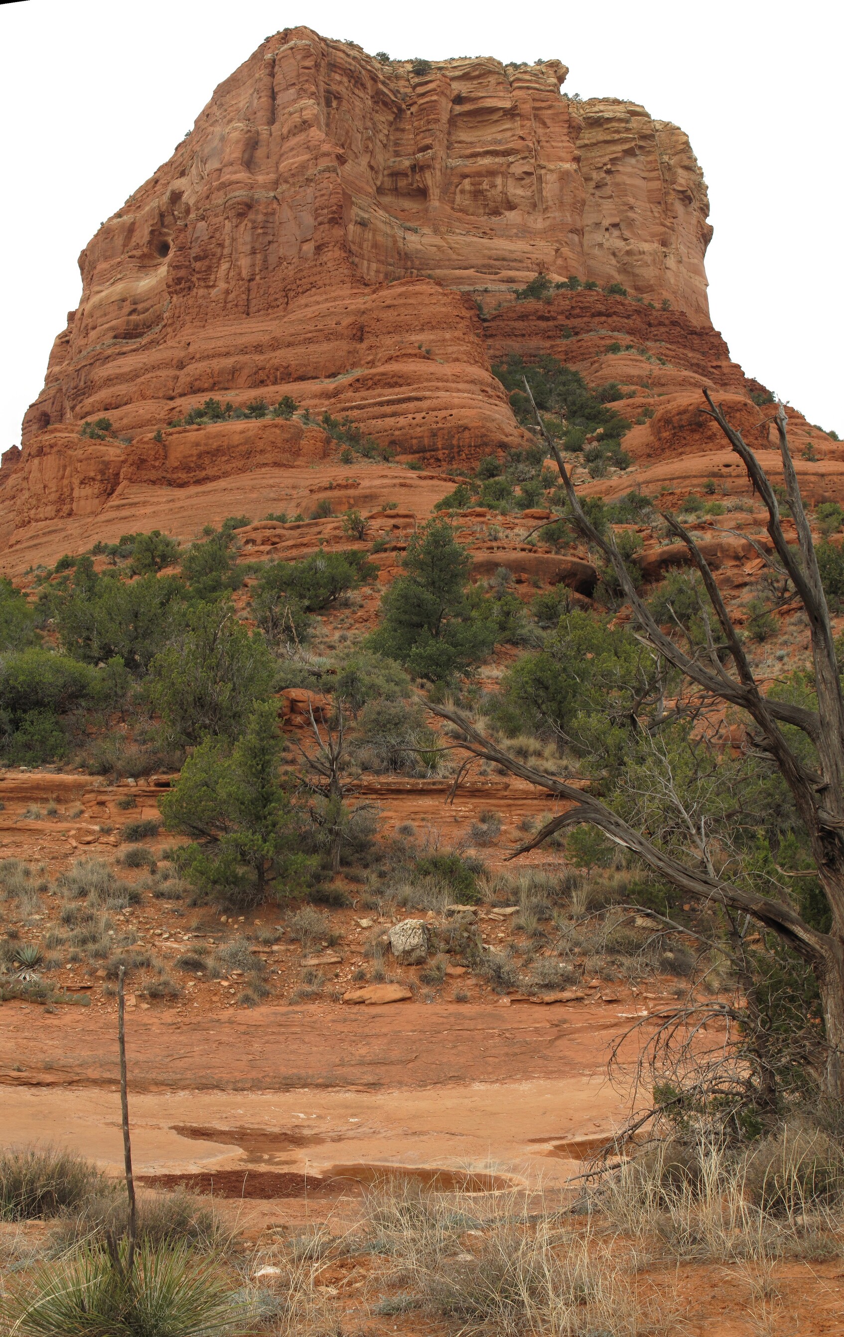 Sedona, Bell Rock