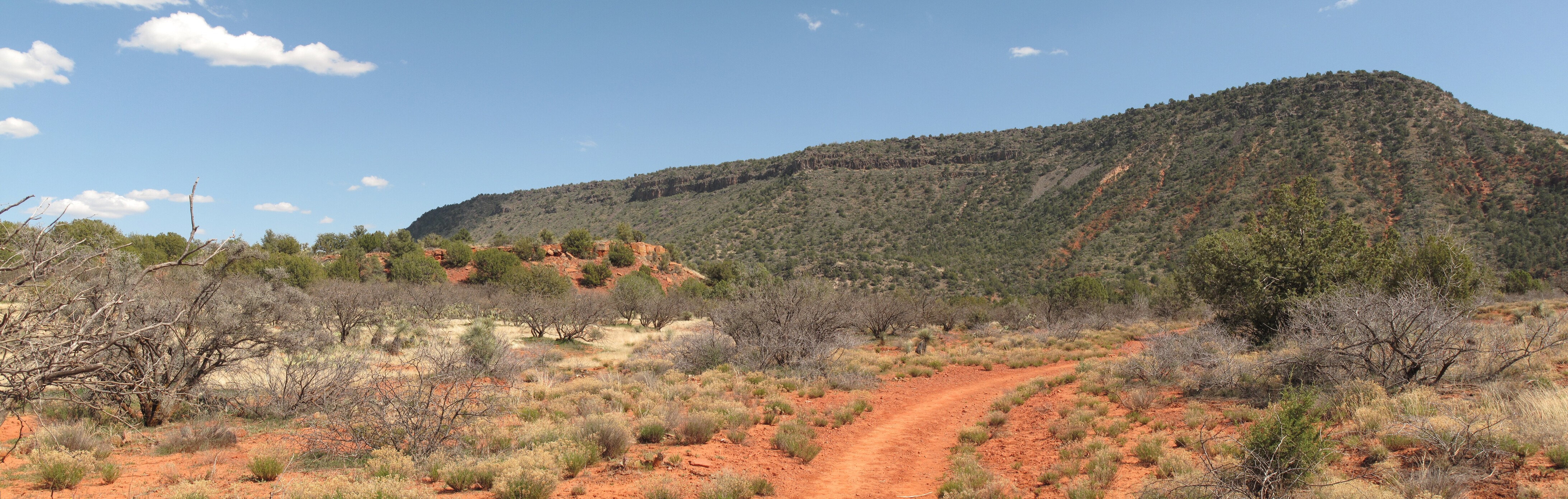 Sedona, Woods Canyon