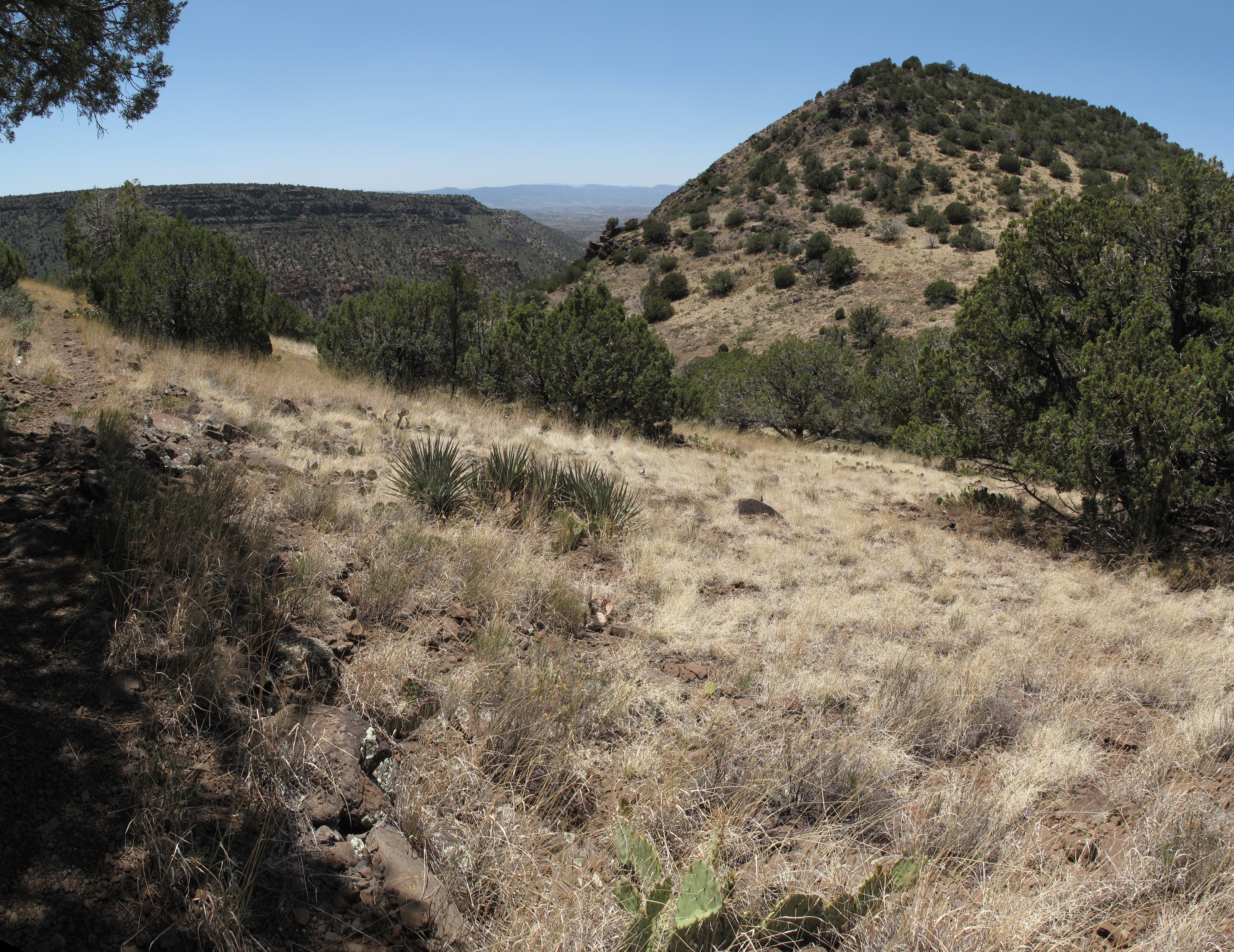 Sedona, Woods Canyon, Apache Maid