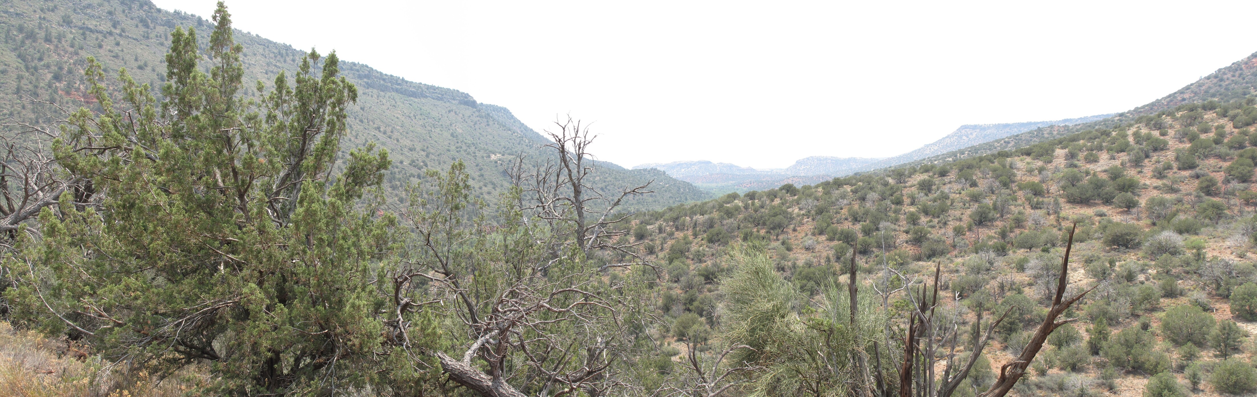 Sedona, Hot Loop, Woods Canyon