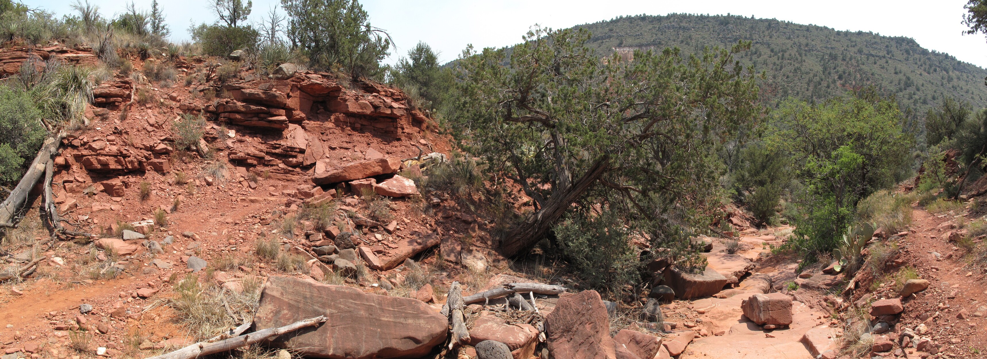 Sedona, Hot Loop, Woods Canyon