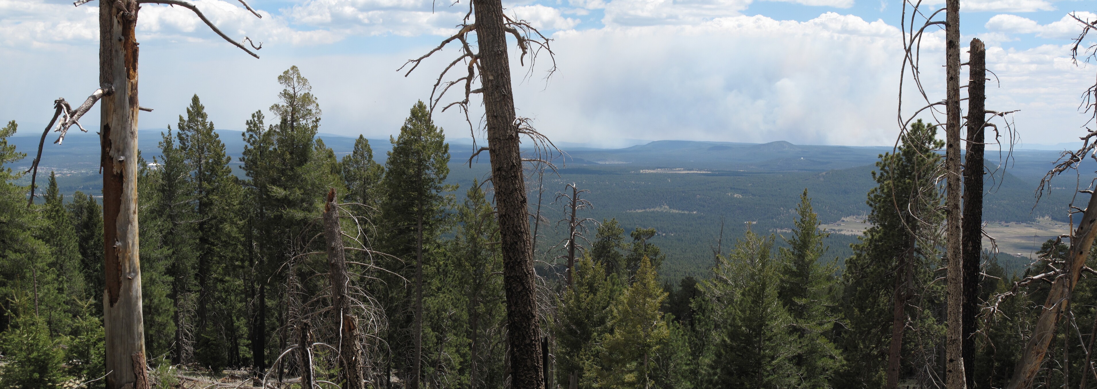 Flagstaff, Kachina