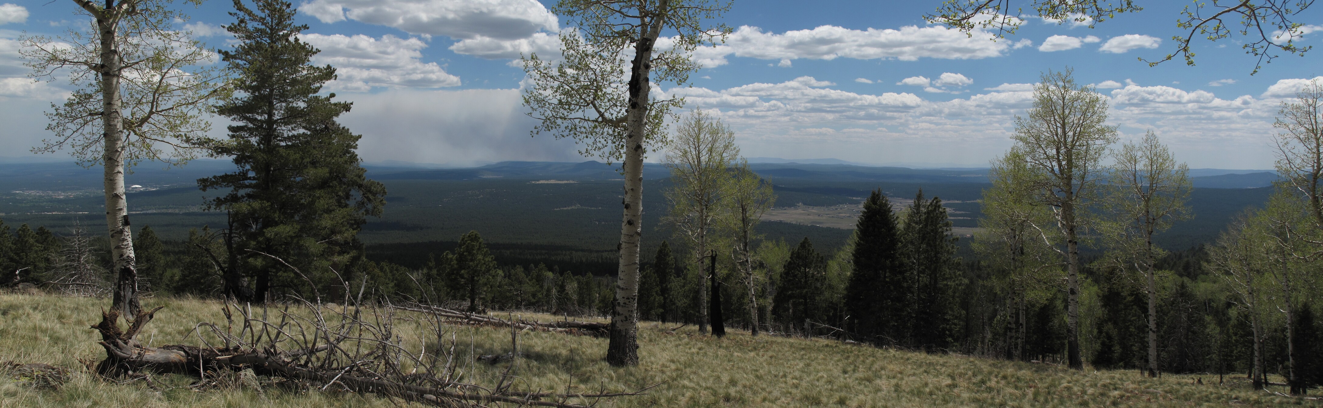 Flagstaff, Kachina