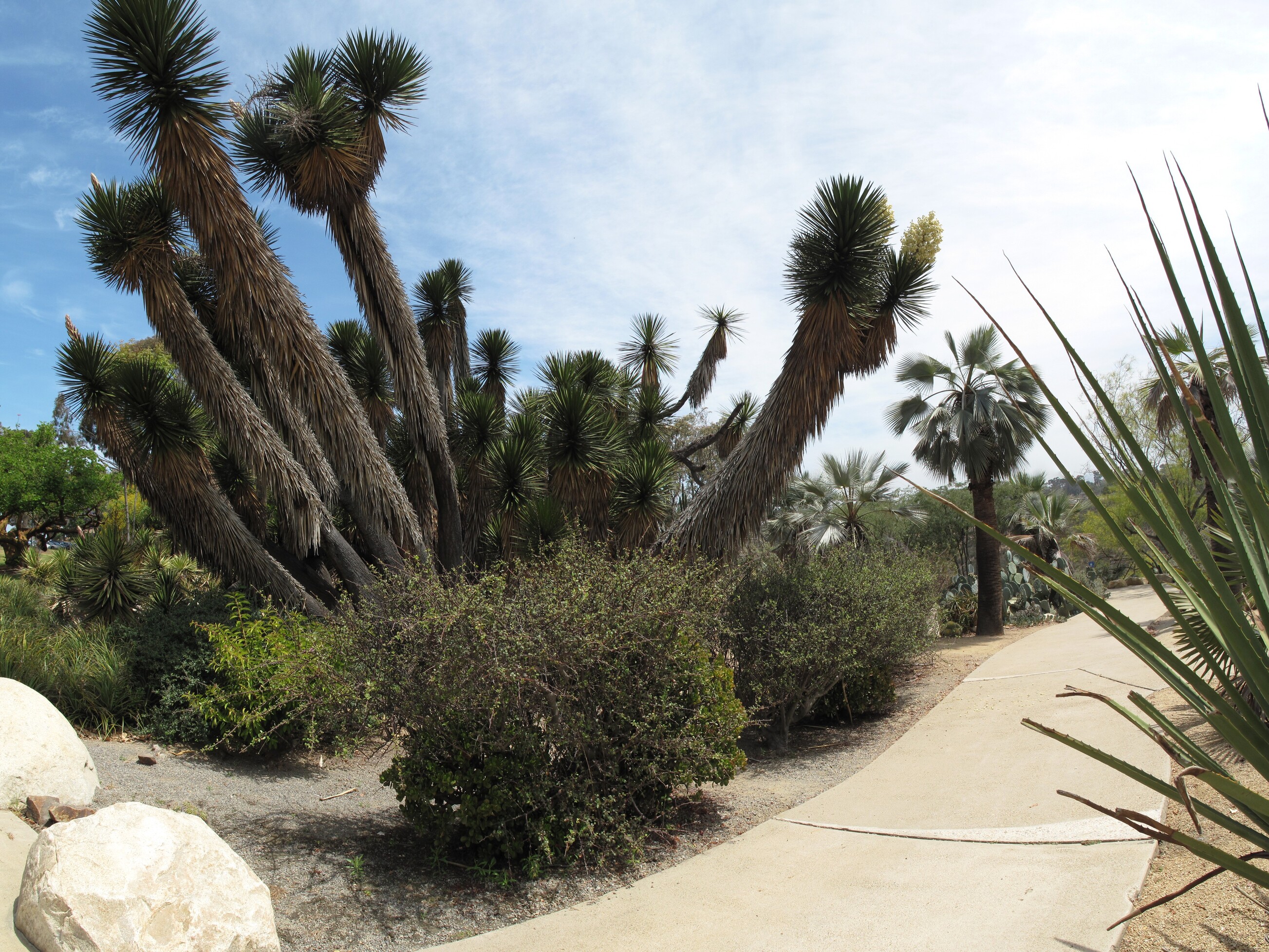 San Diego, Travel