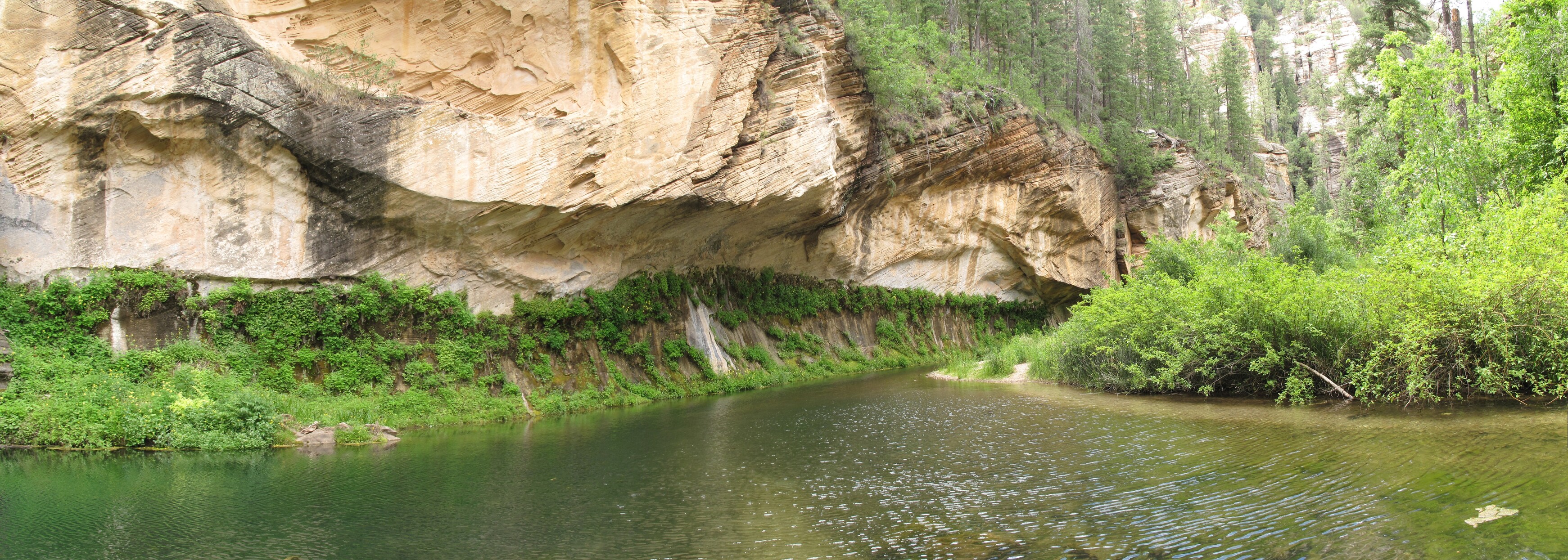 Point Trail