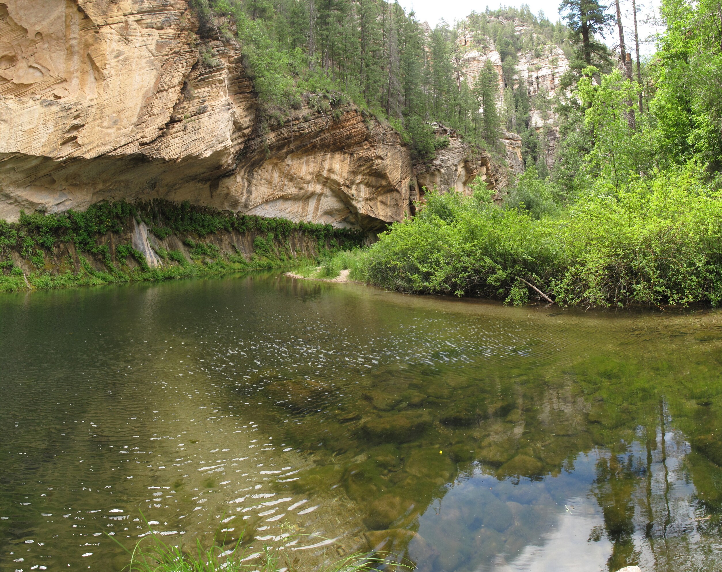 Point Trail, Coconino