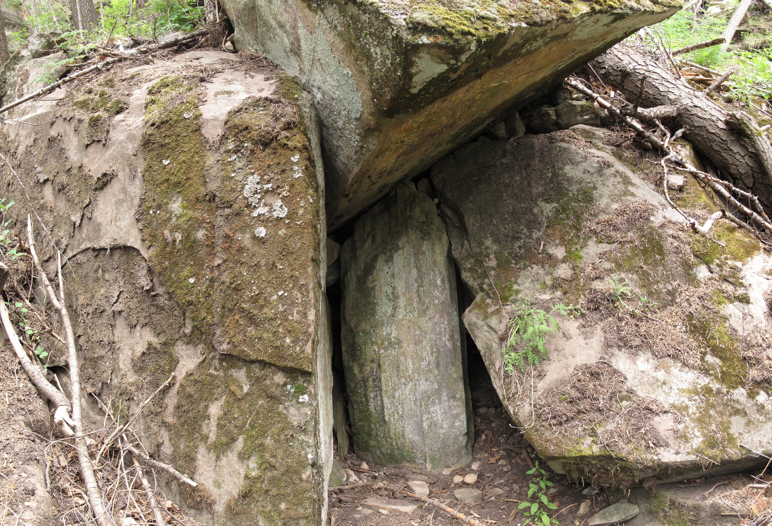 Point Trail, Coconino