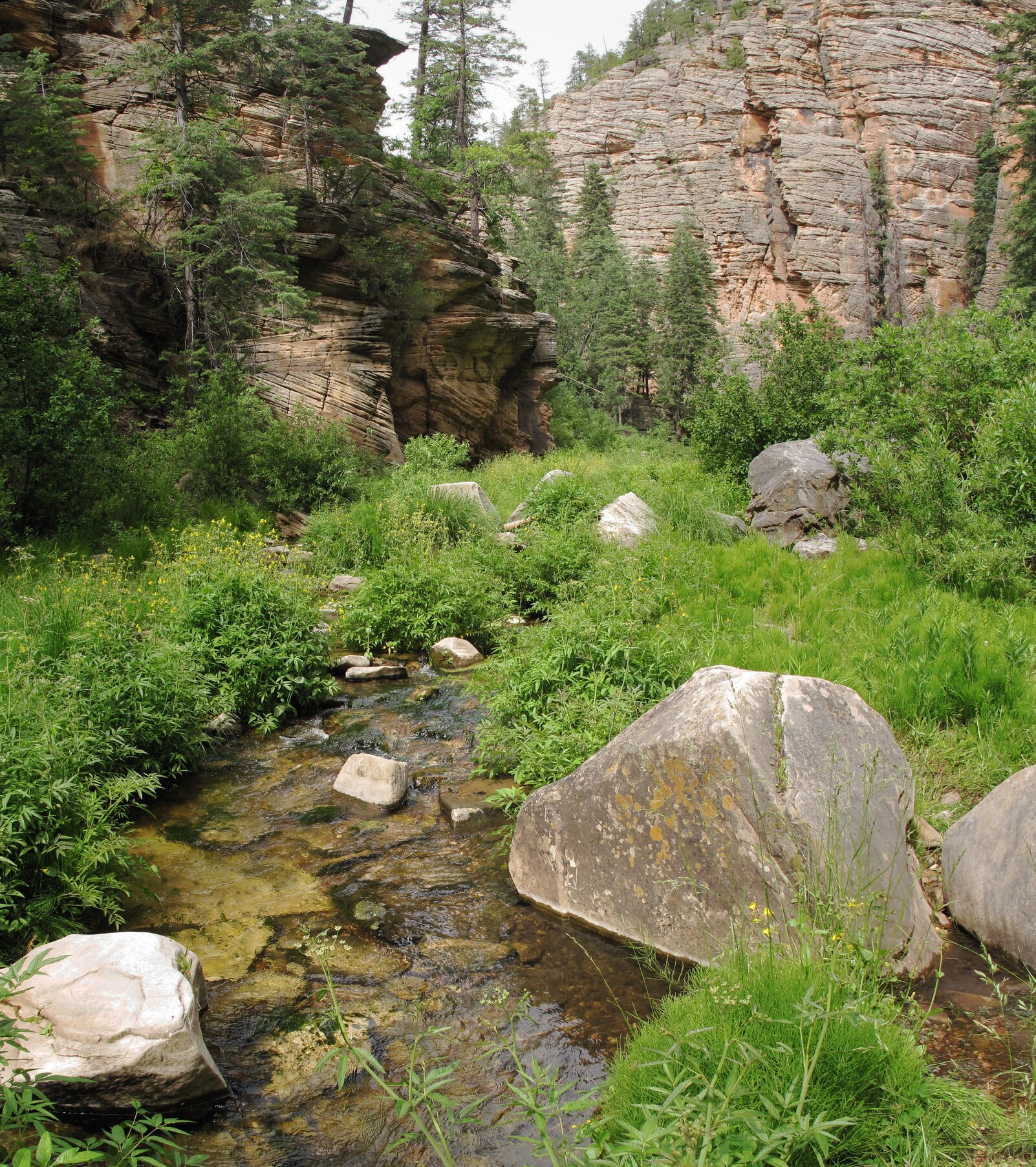 Point Trail, Coconino