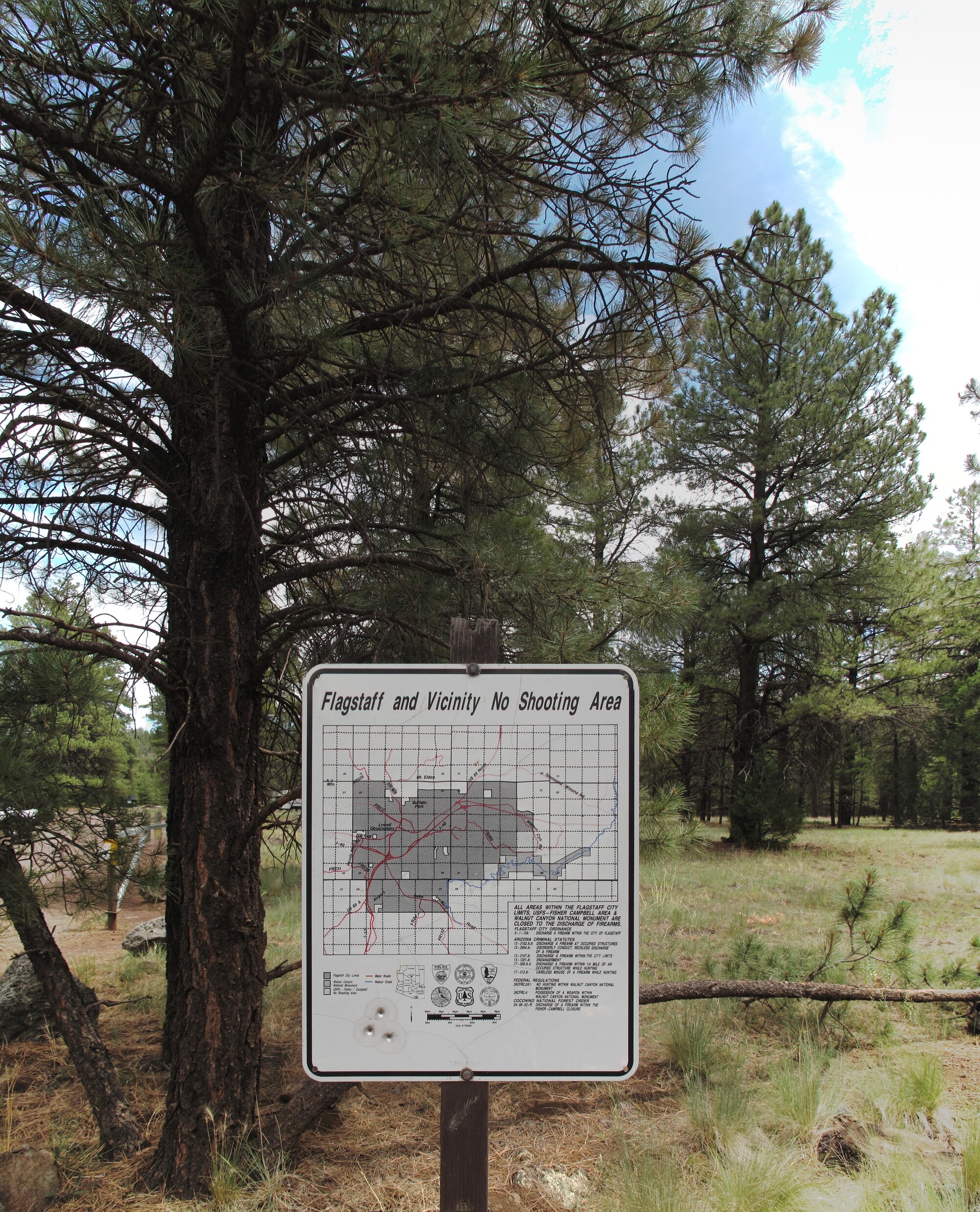 Sandys Canyon, Flagstaff