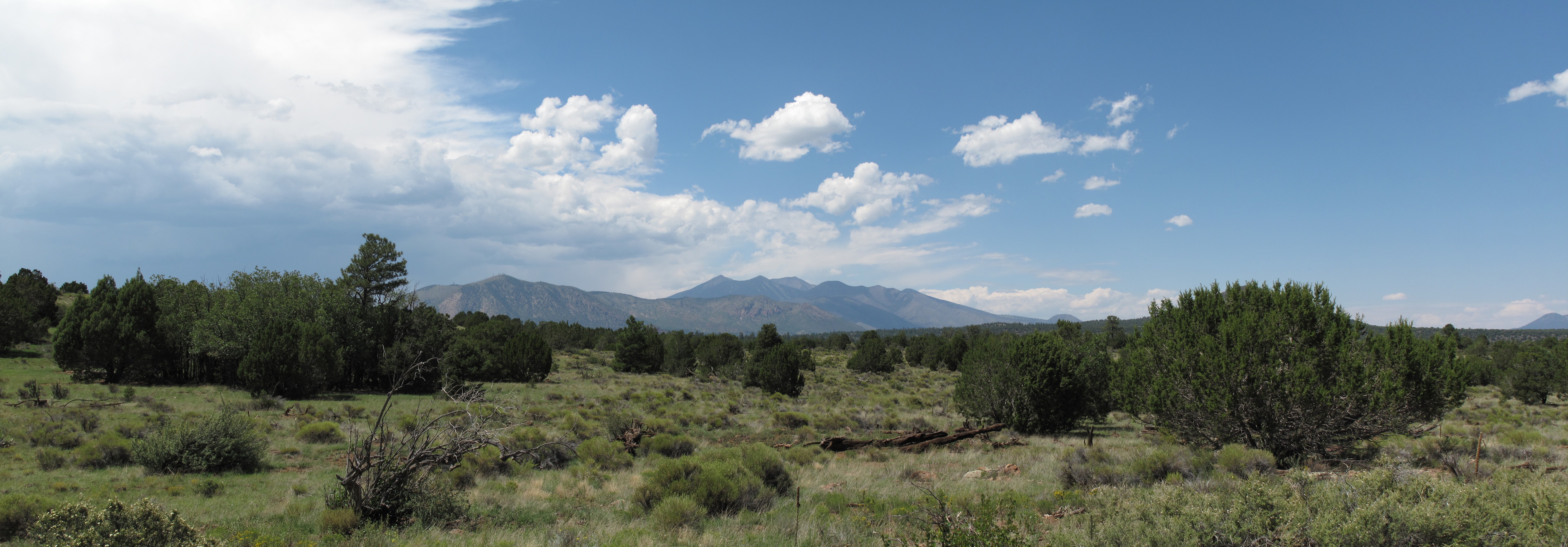 AzTrail, Flagstaff