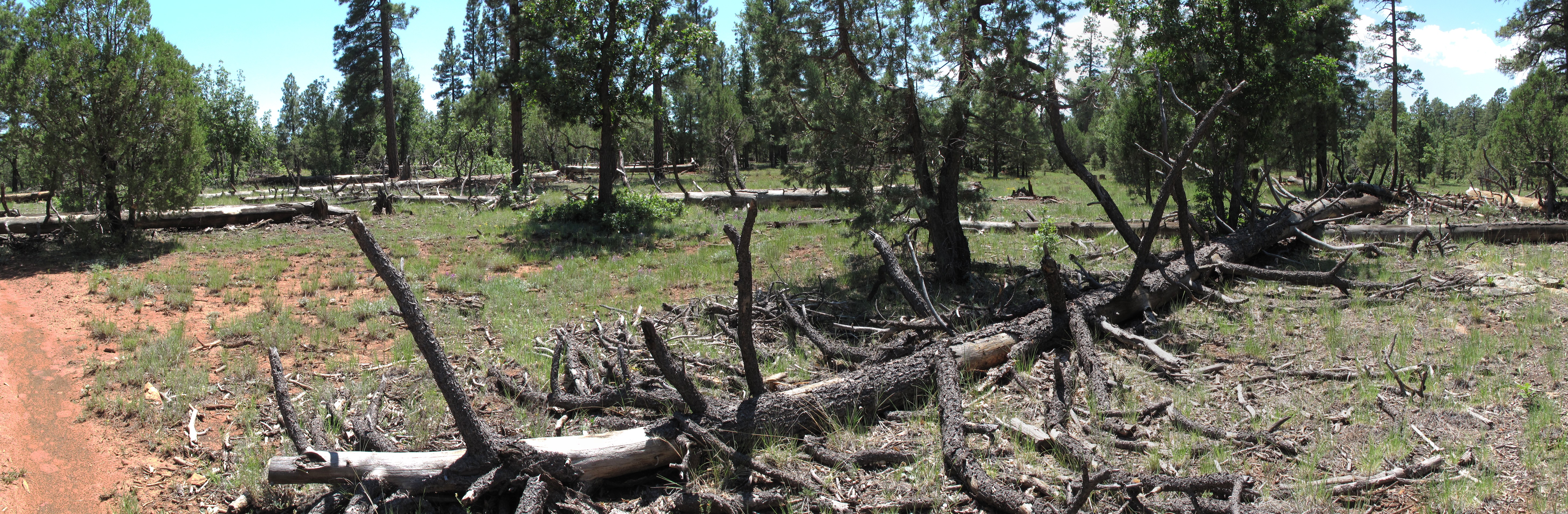 AzTrail, Flagstaff