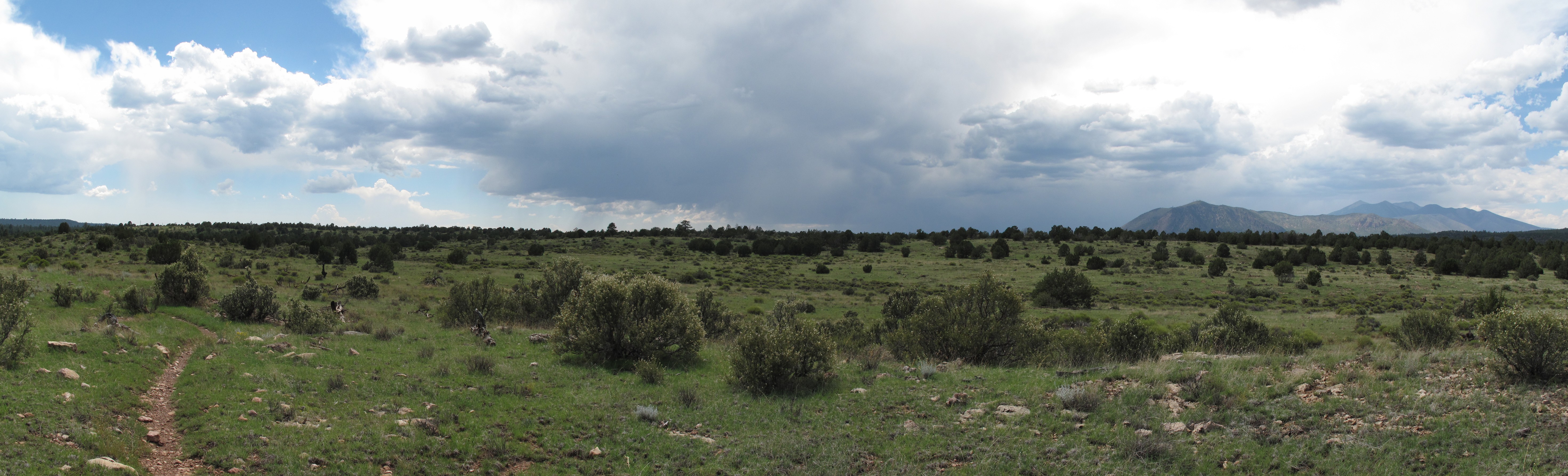 AzTrail, Flagstaff