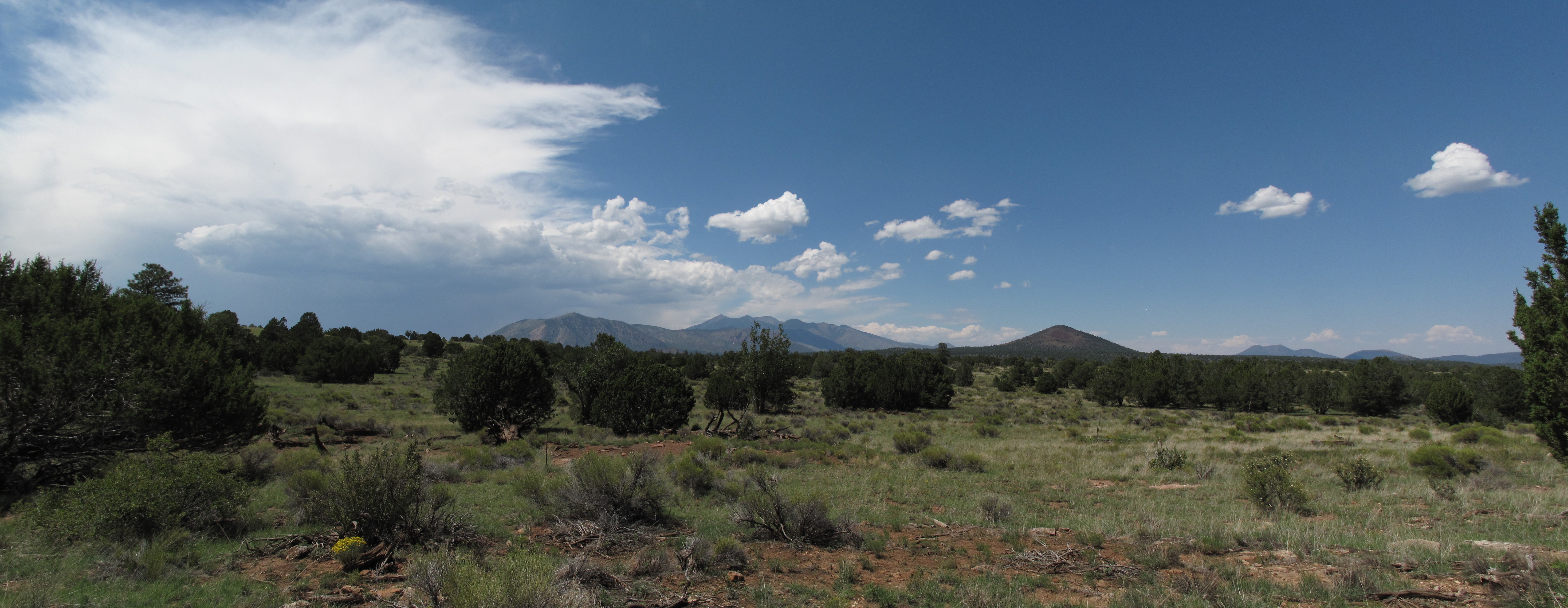 AzTrail, Flagstaff