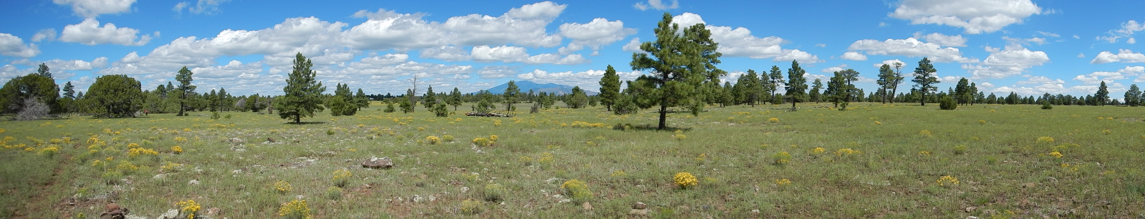 AZ Trail, Lake Mary