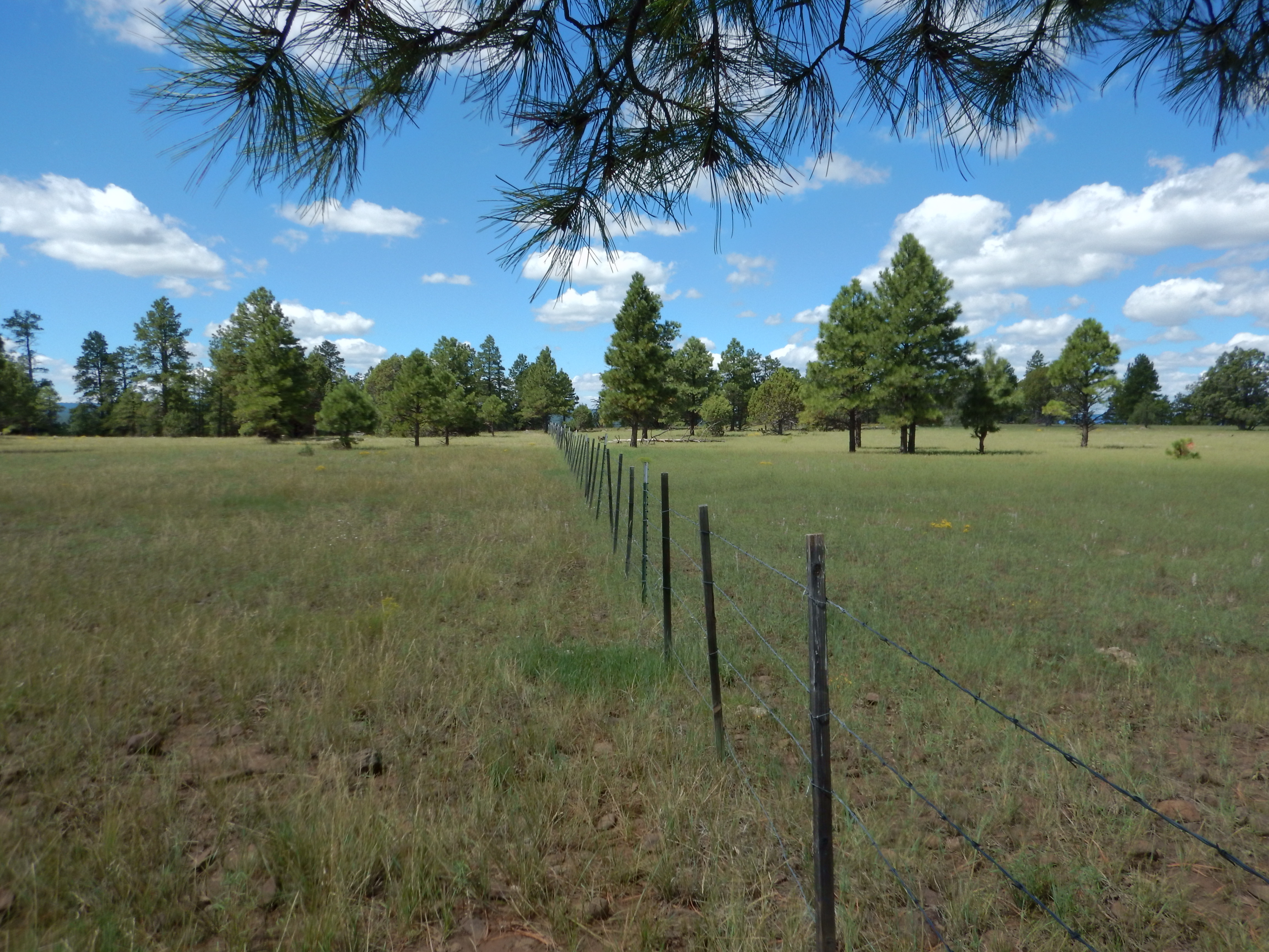 AZ Trail, Lake Mary