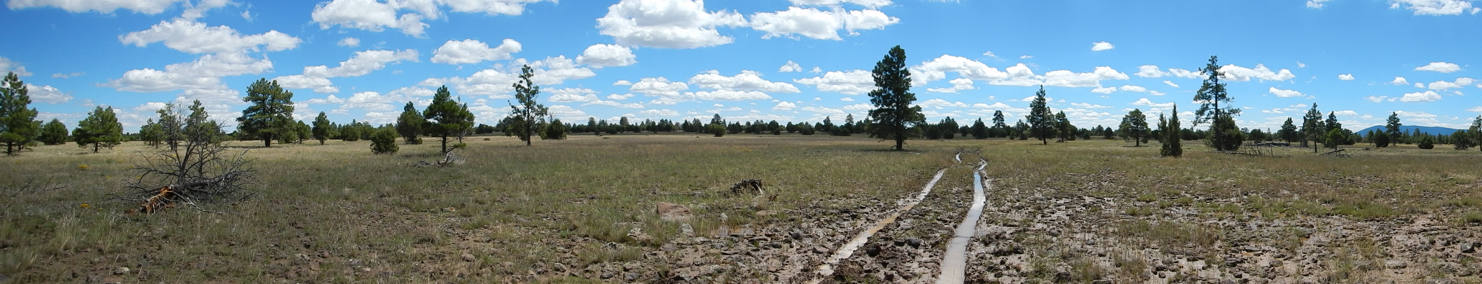 AZ Trail, Lake Mary