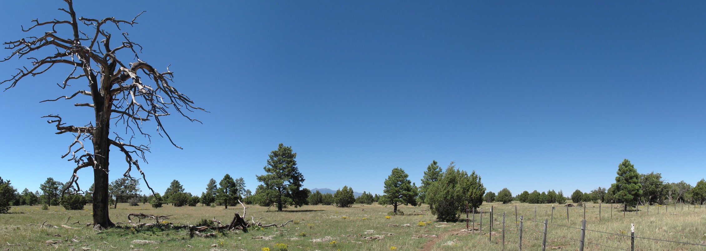 AZ Trail, Lake Mary