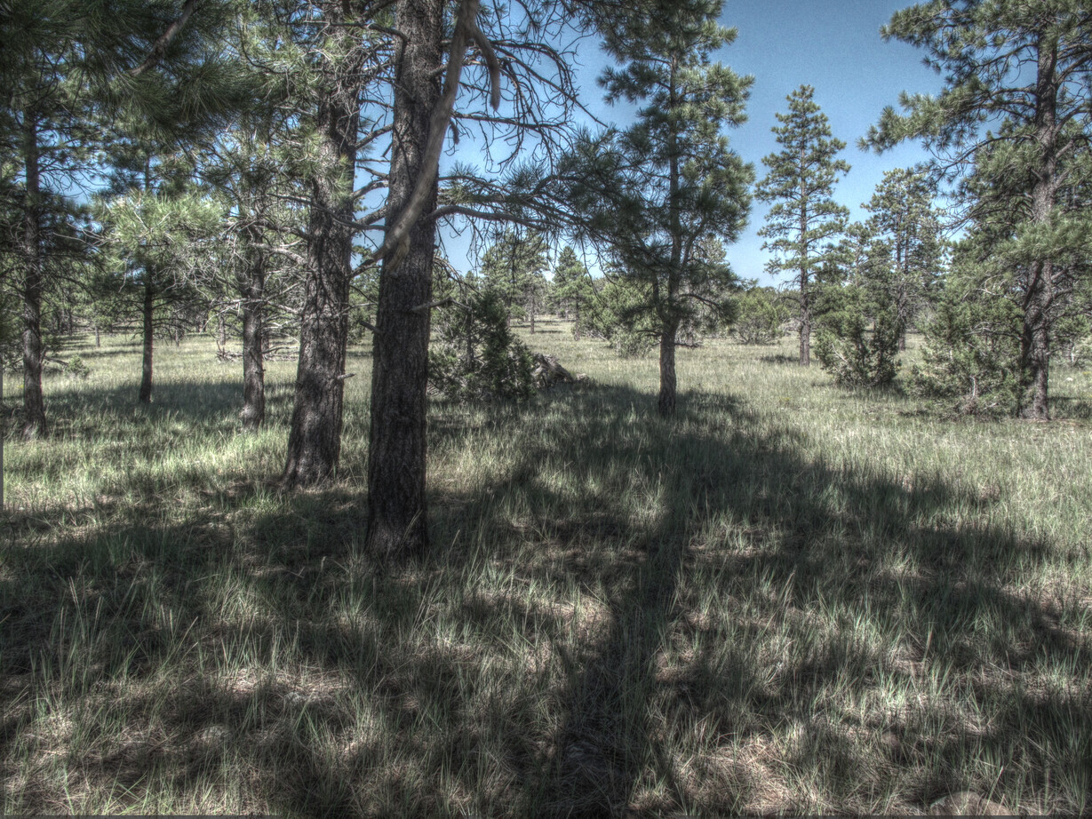 AZ Trail, Lake Mary