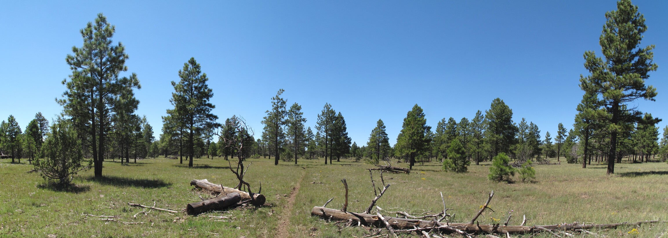 AZ Trail, Lake Mary