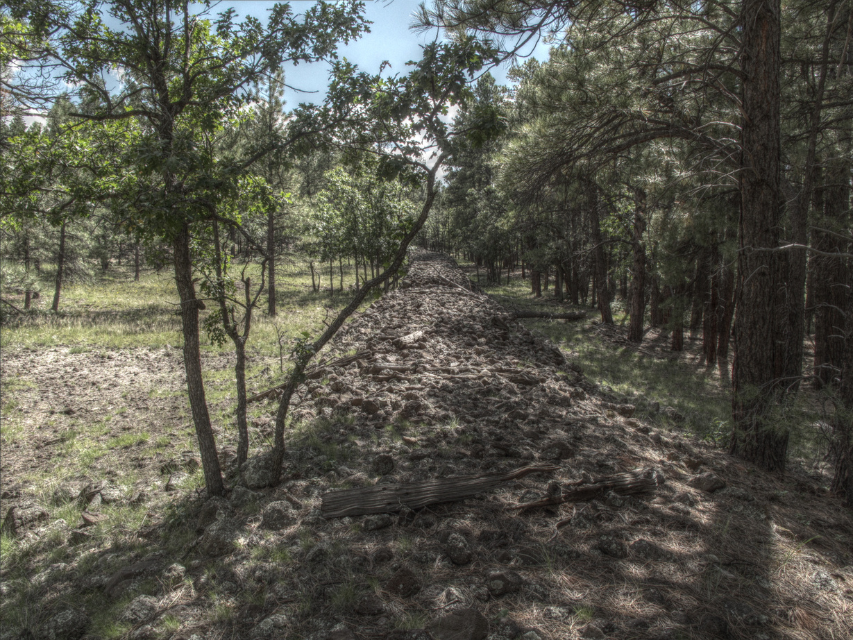 Az Trail, Mormon Lake